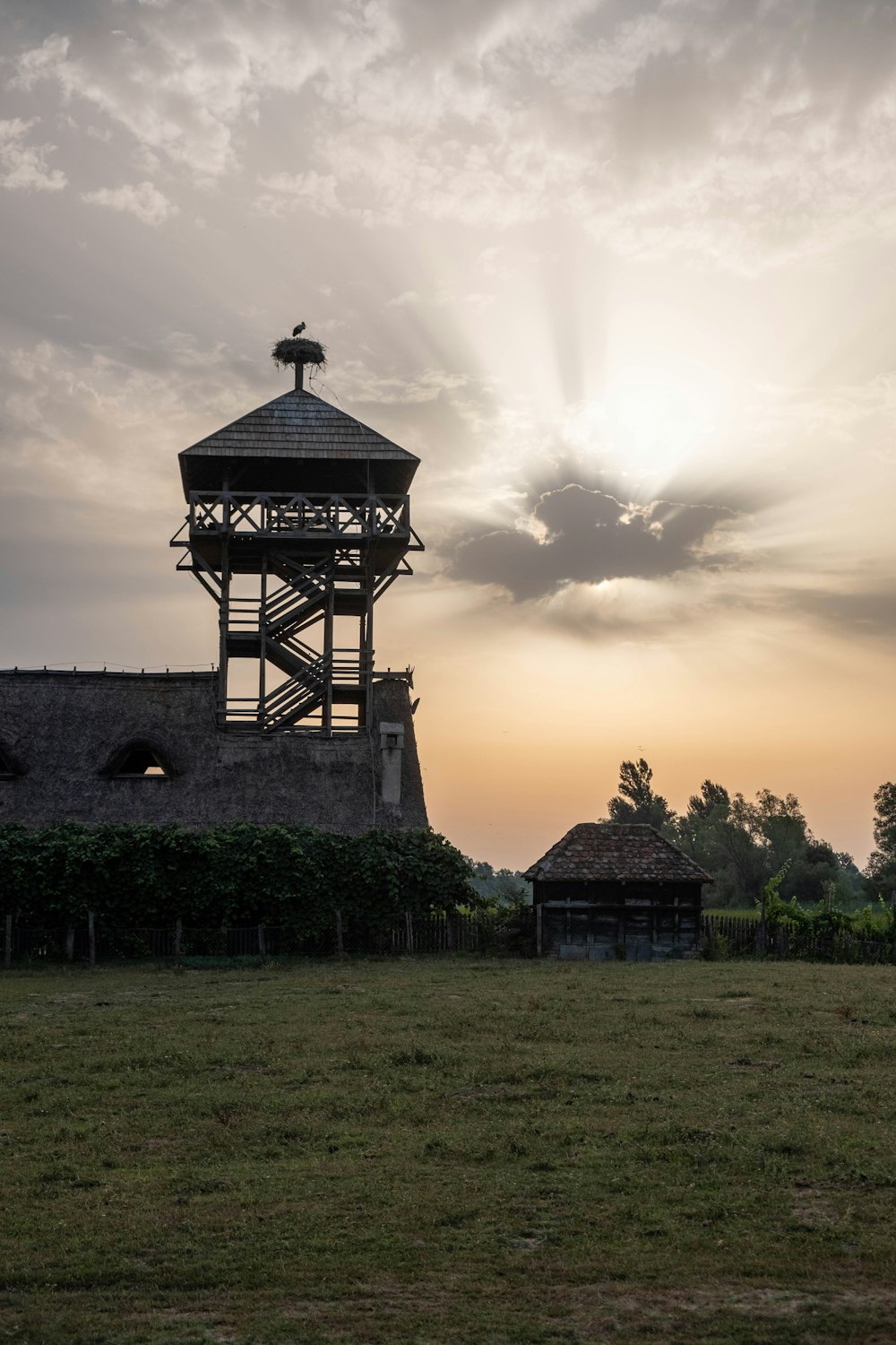 a large field with a tower in the background