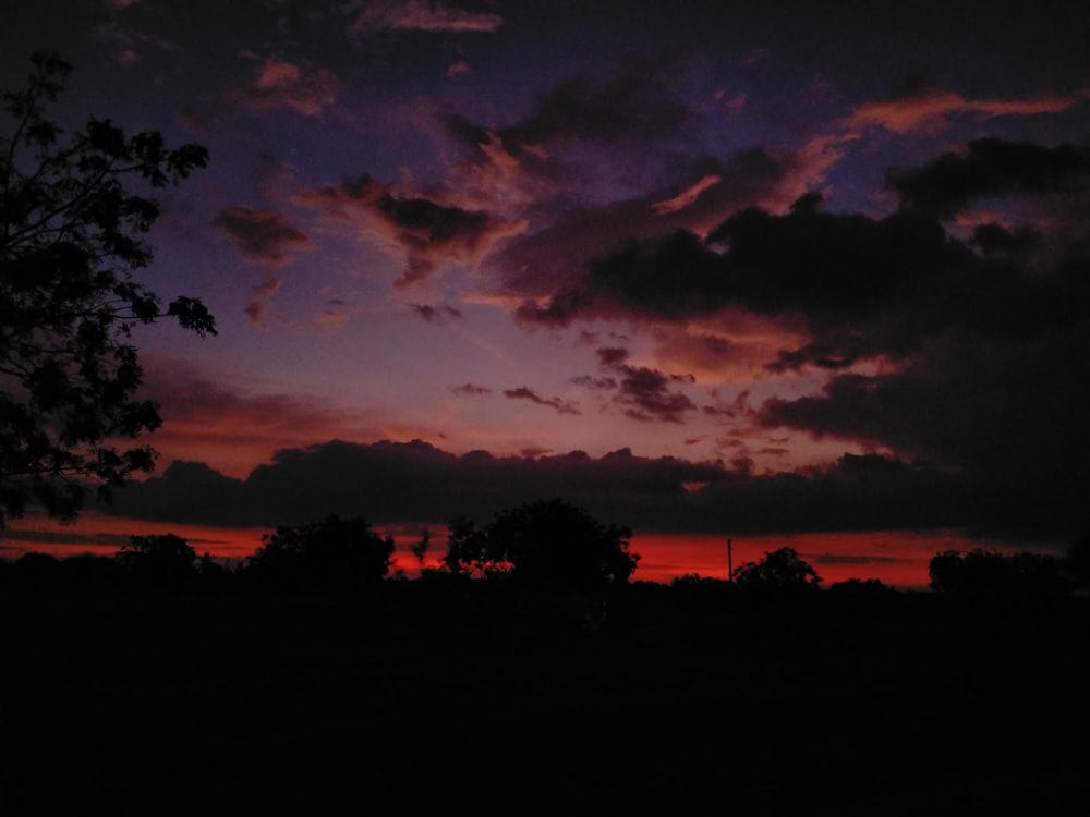 a sunset with clouds and trees in the foreground