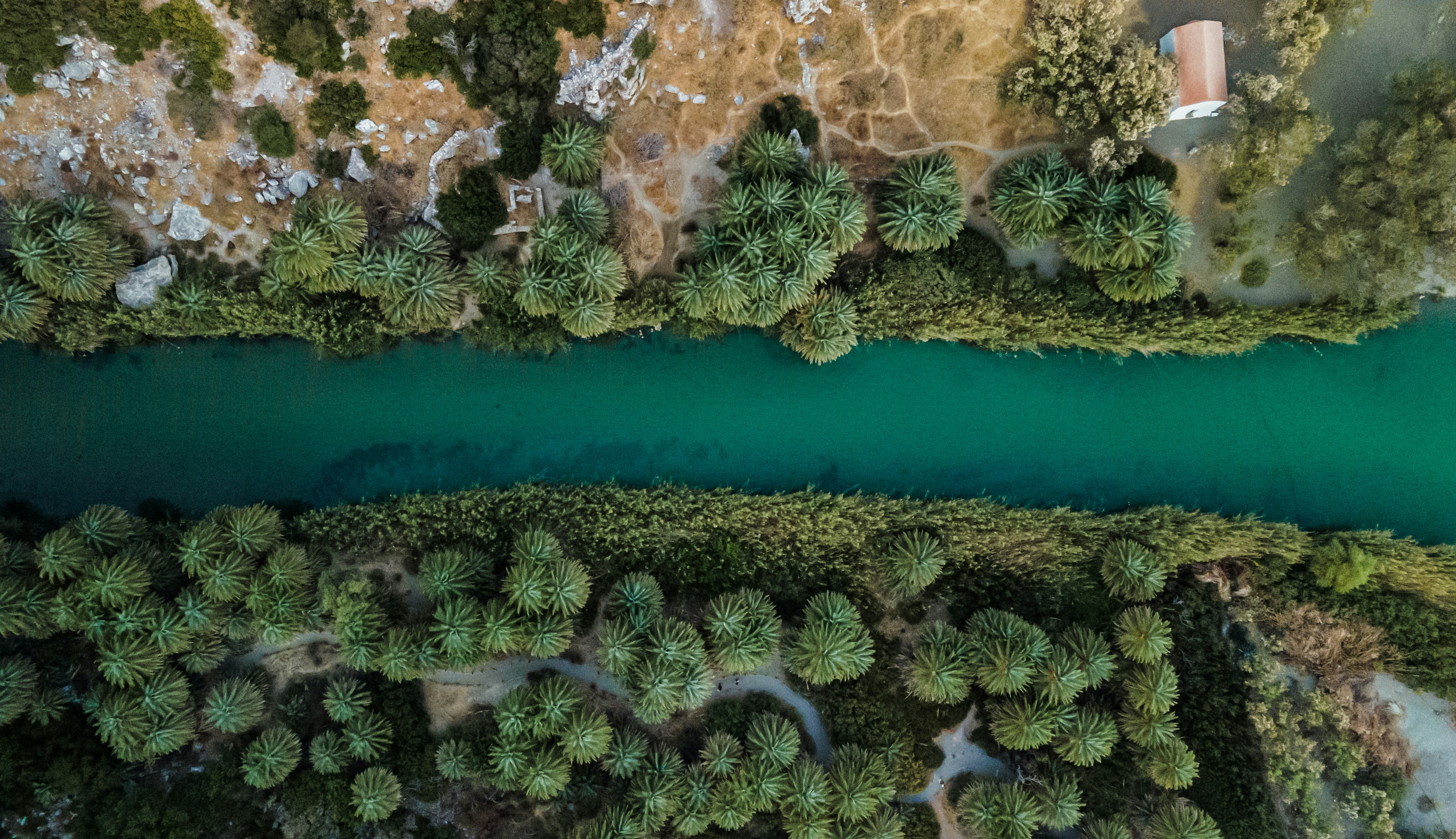 an aerial view of a river surrounded by trees