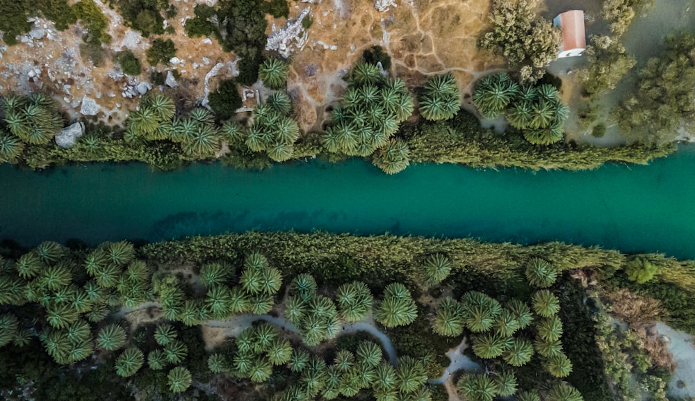 uma vista aérea de um rio cercado por árvores