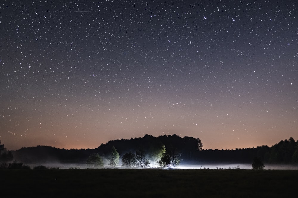 the night sky with stars and trees in the foreground