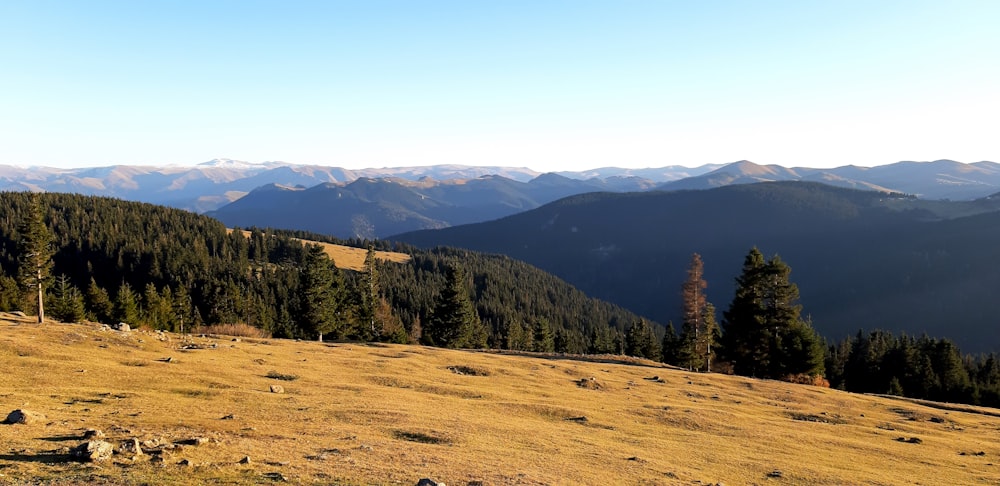 a view of a mountain range with trees and mountains in the background