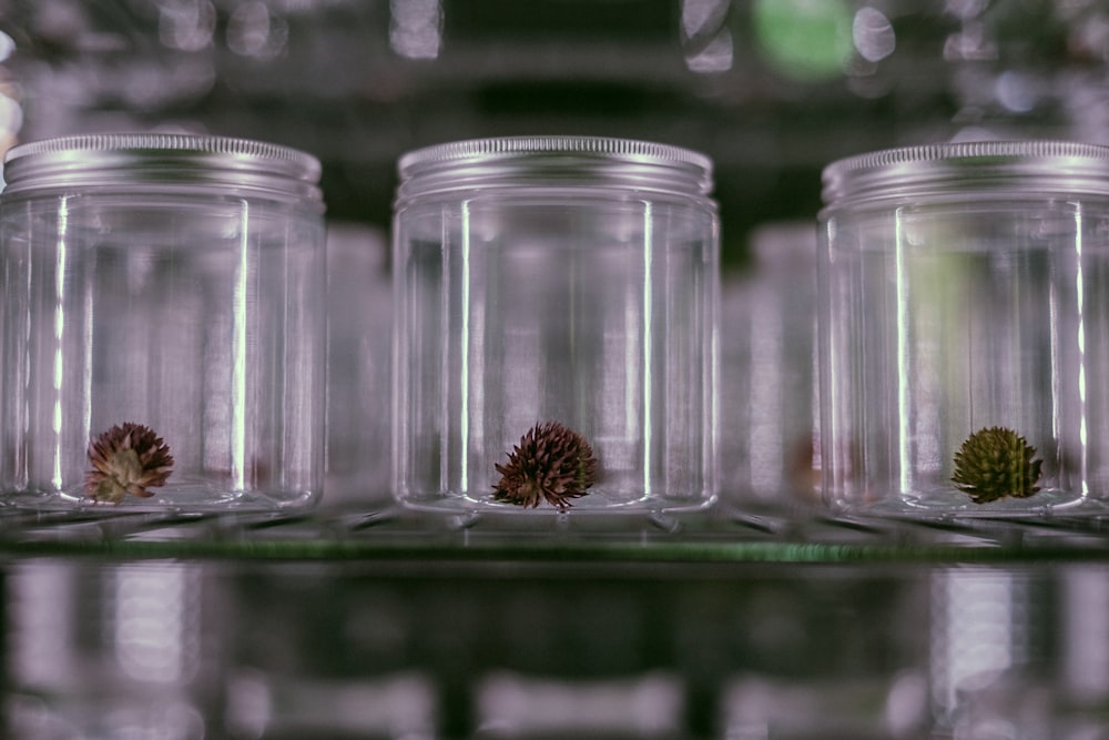 a row of glass jars filled with flowers