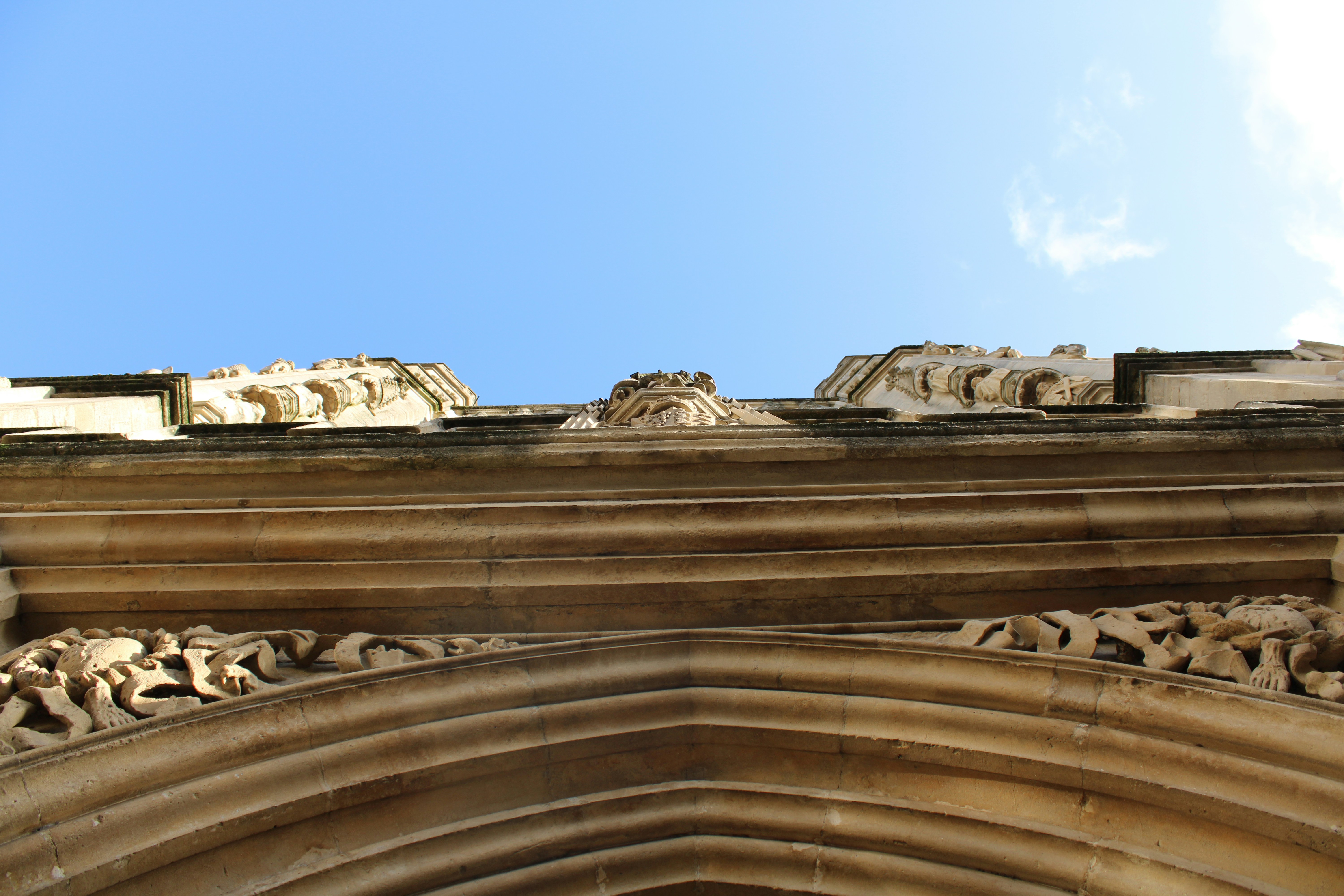 Photo by ivyd_design