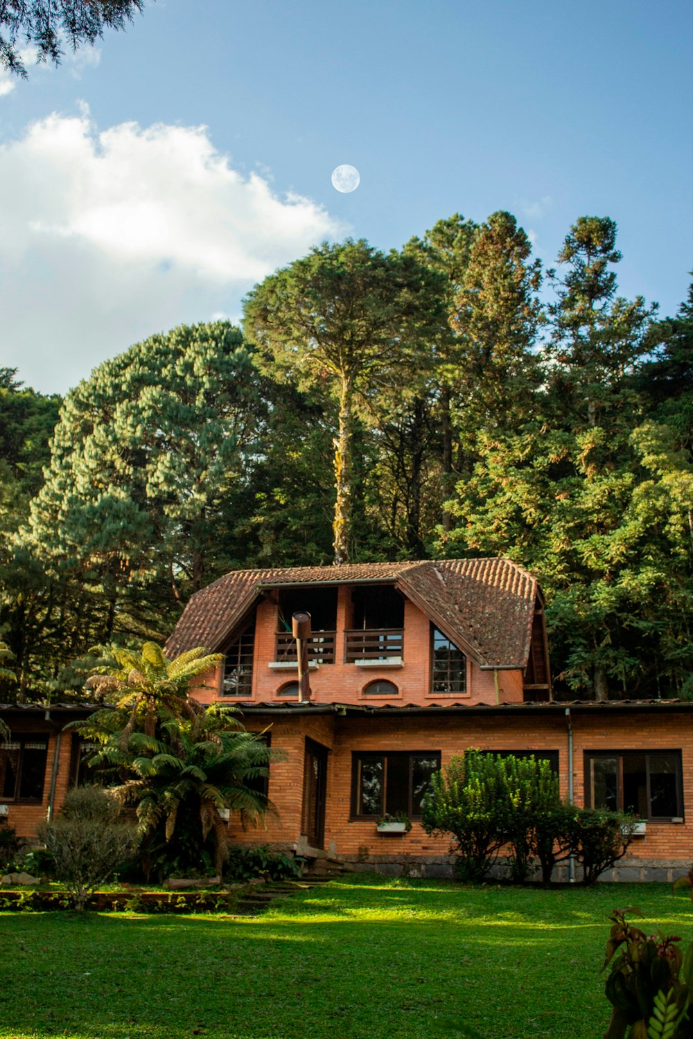 a house in the middle of a lush green forest