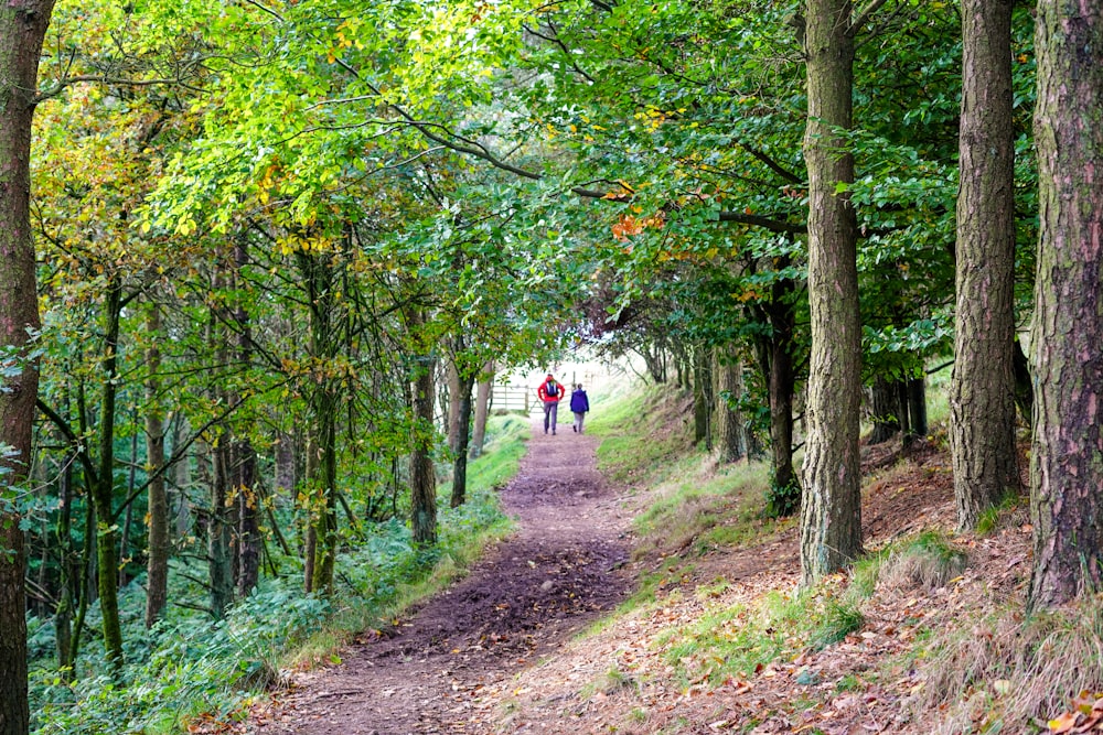 two people walking down a path in the woods