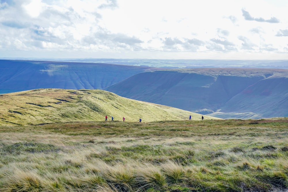 a group of people standing on top of a lush green hillside