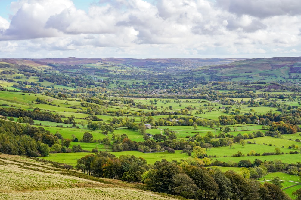 a lush green valley surrounded by lush green hills