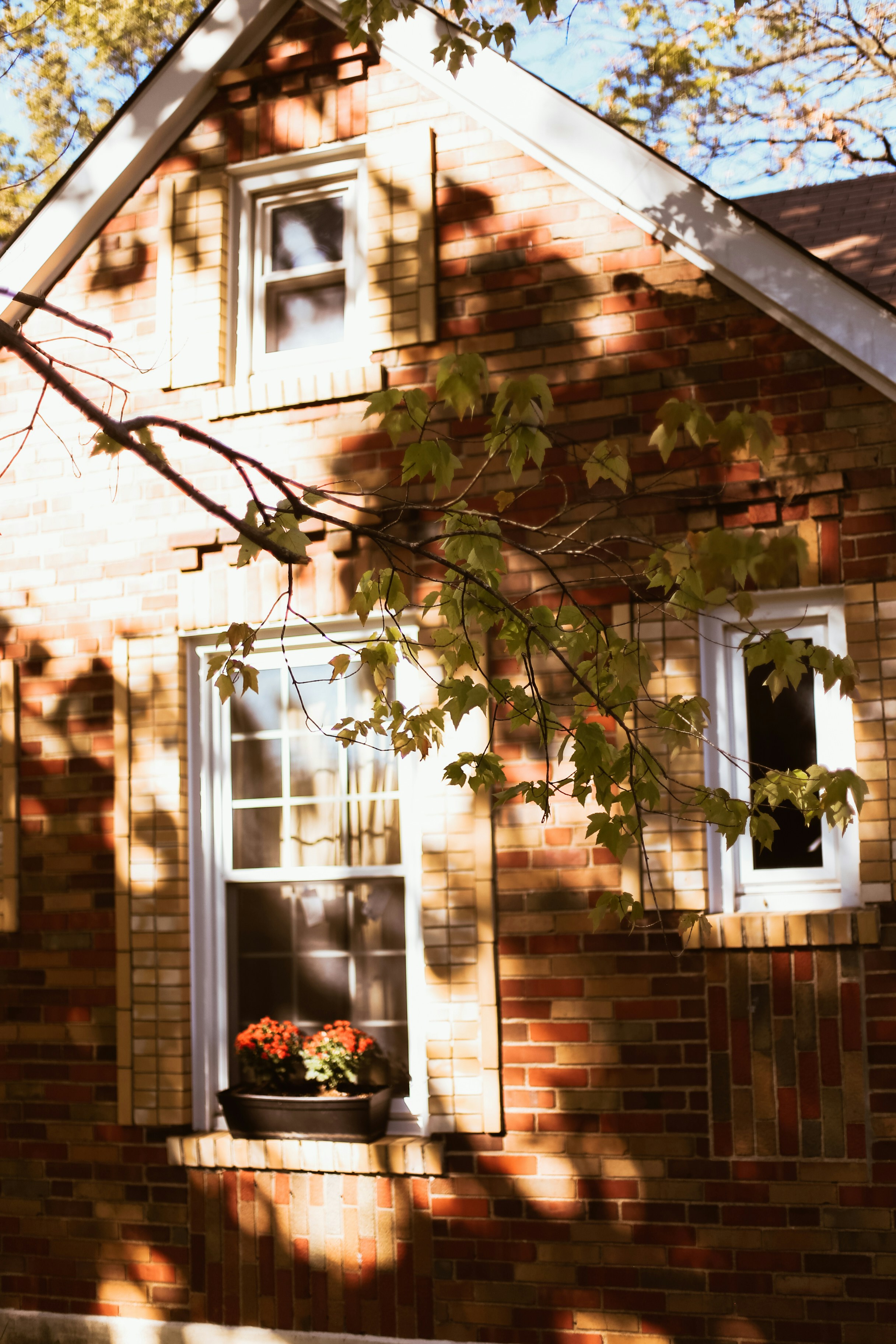 Photo by jessicalfadel