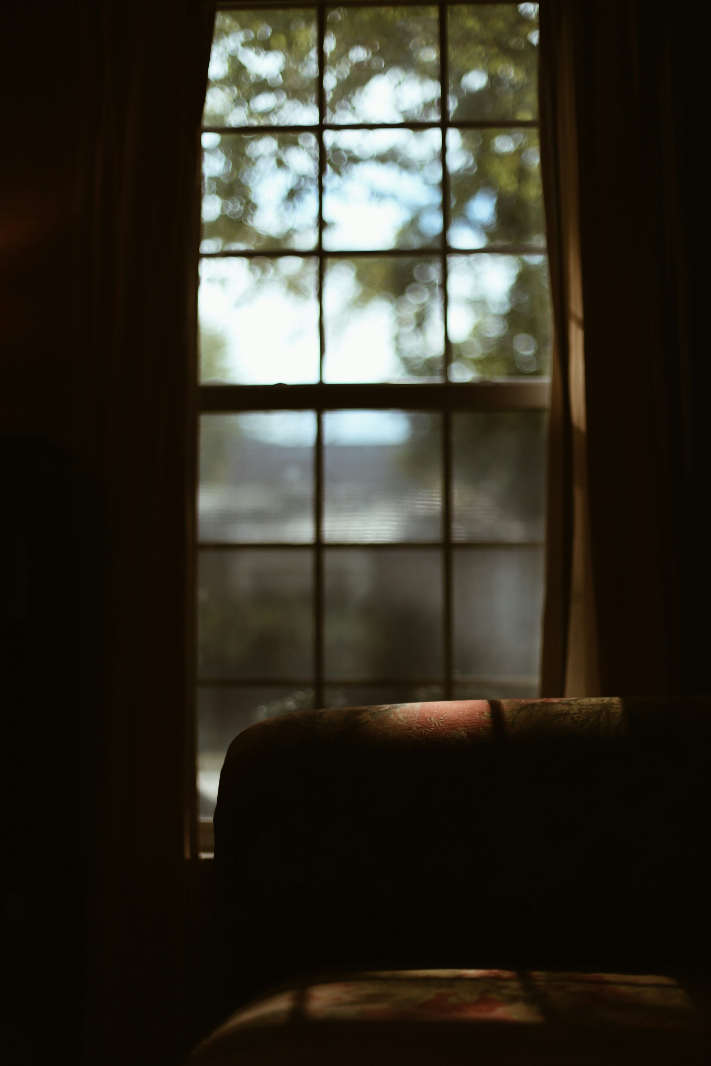 Photo by jessicalfadel