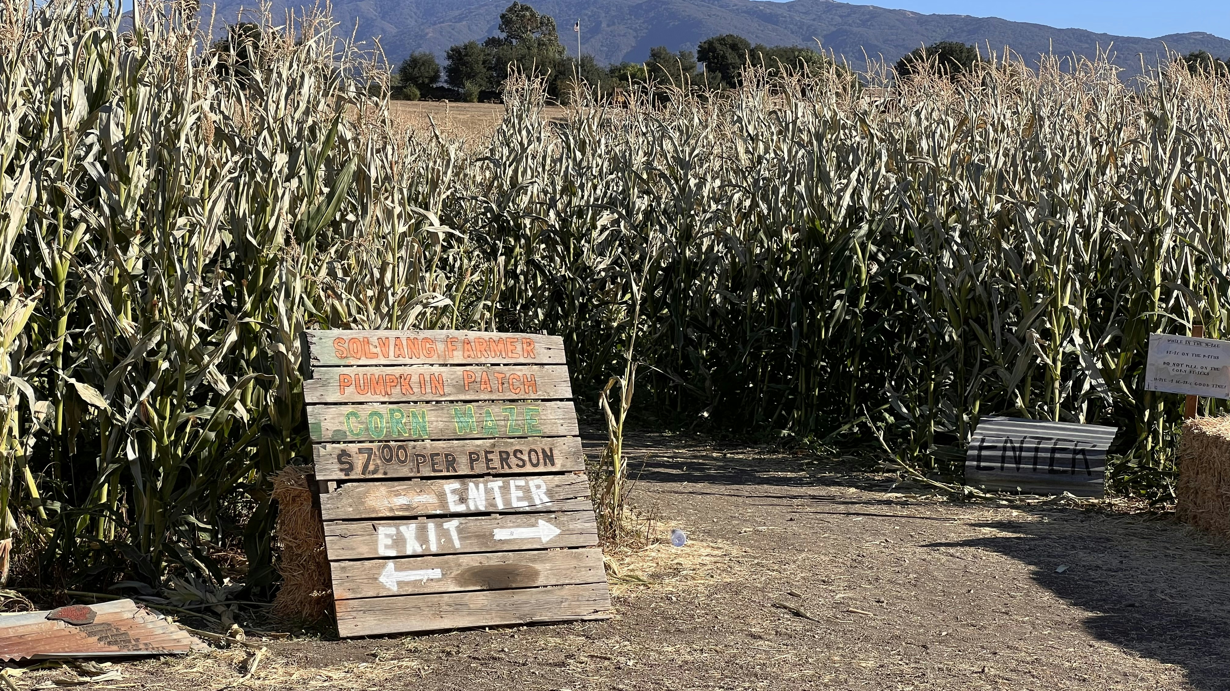 a field of corn with a sign in the foreground