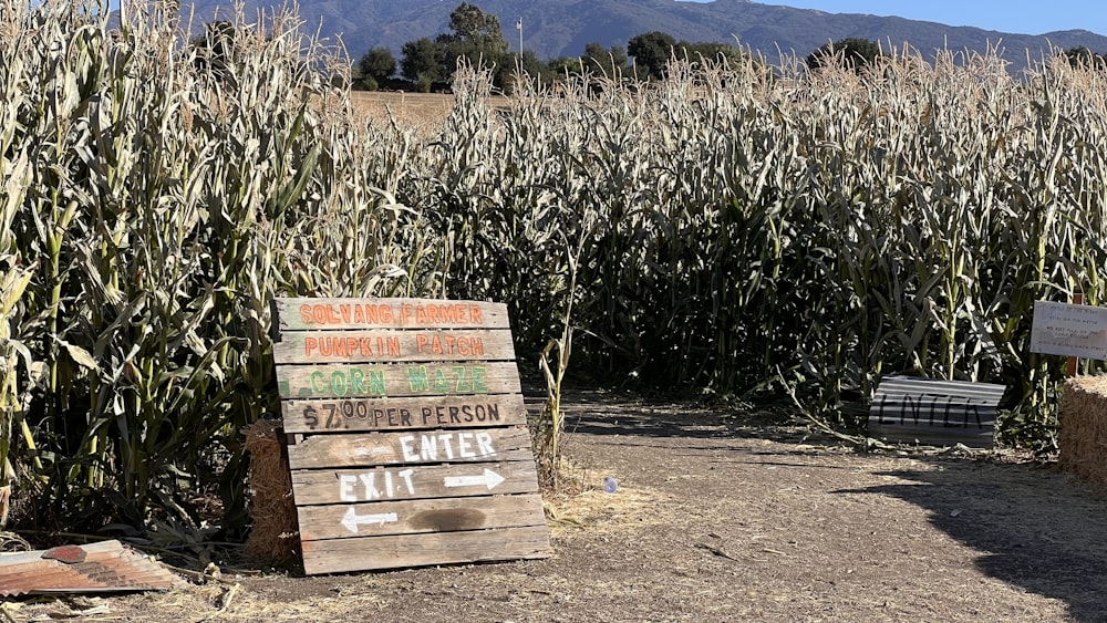 a field of corn with a sign in the foreground
