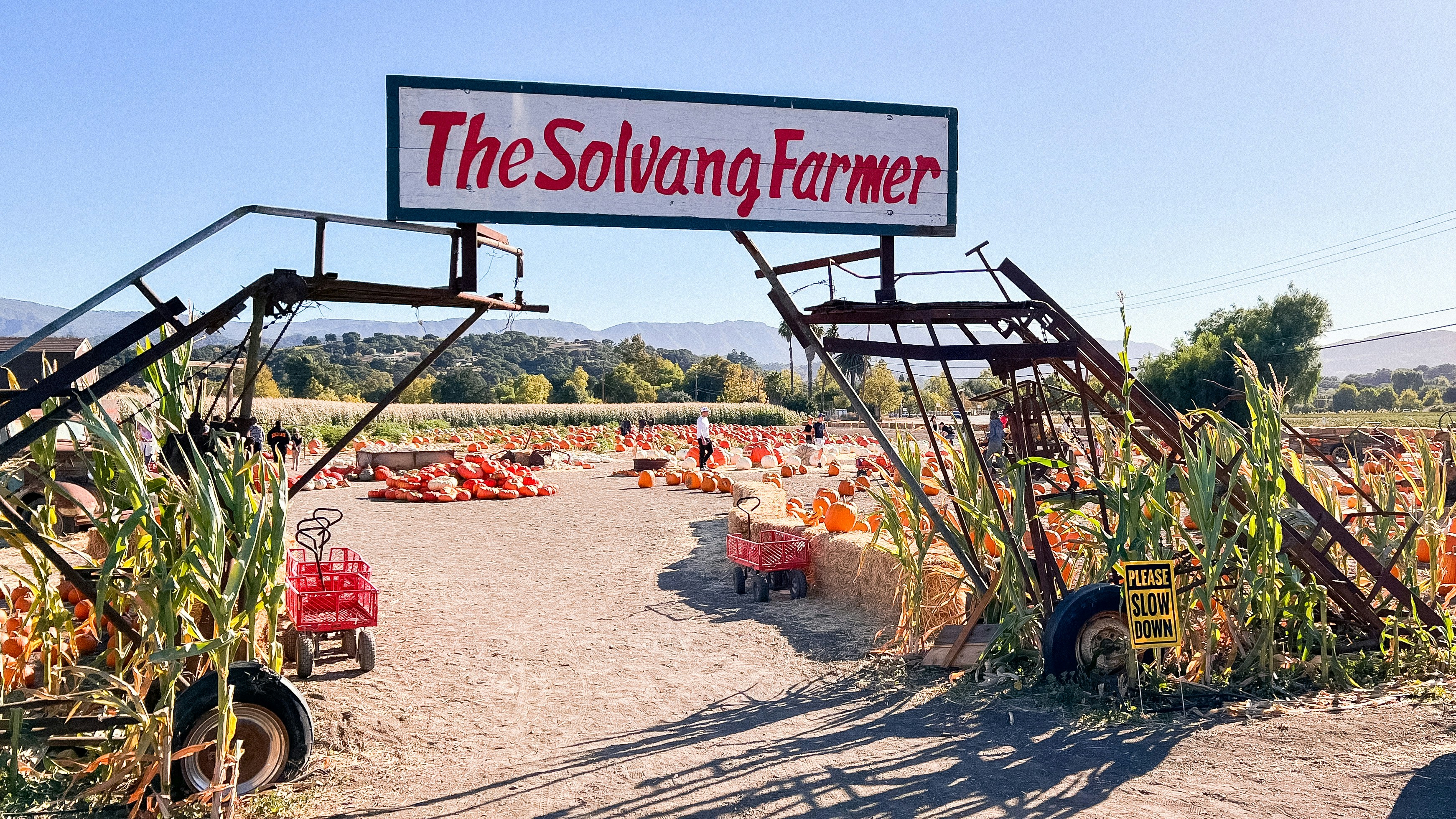 a sign for a farm with pumpkins on the ground