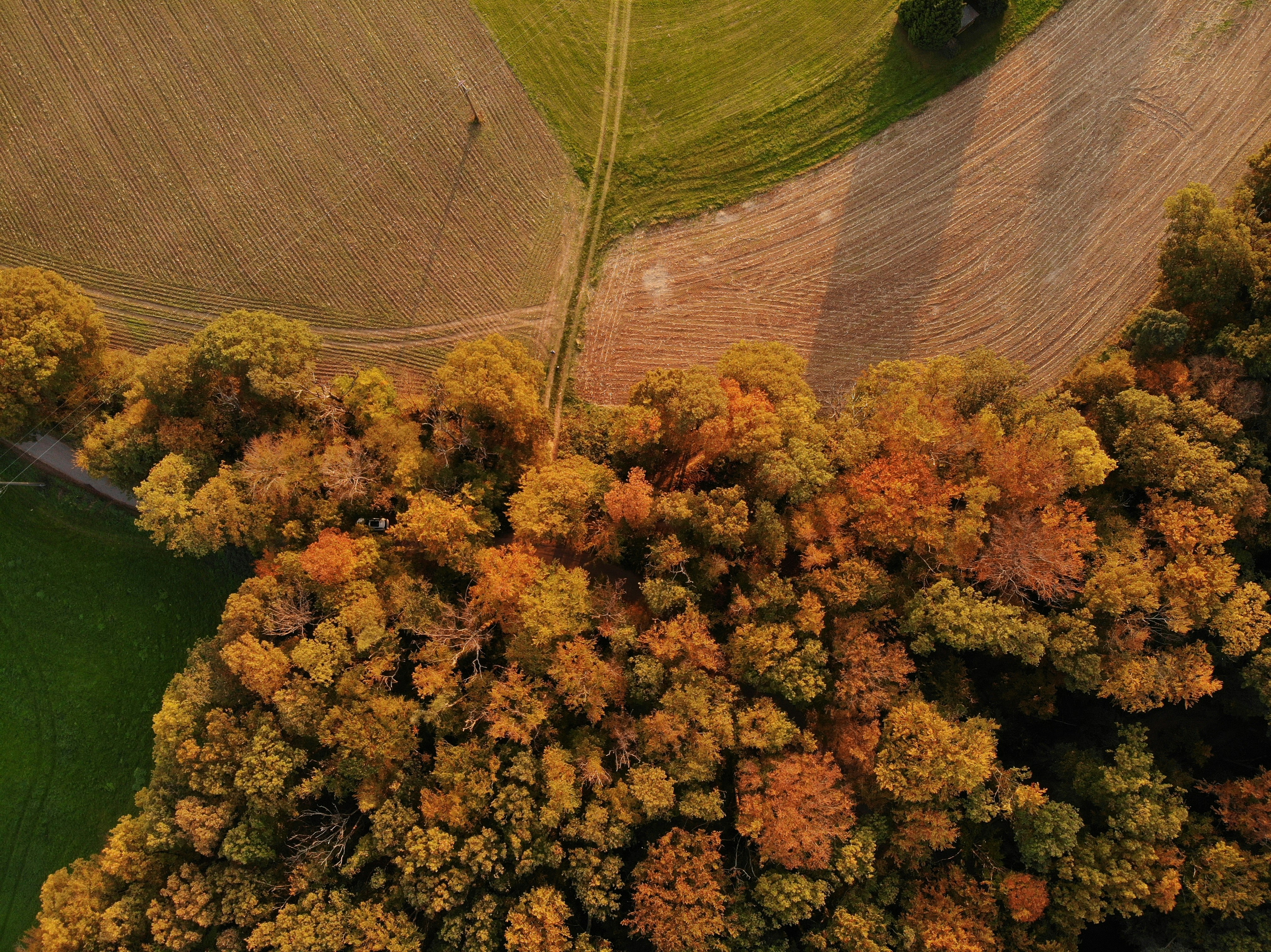 Herbstliche Felder und Wälder im unteren Lechrain
