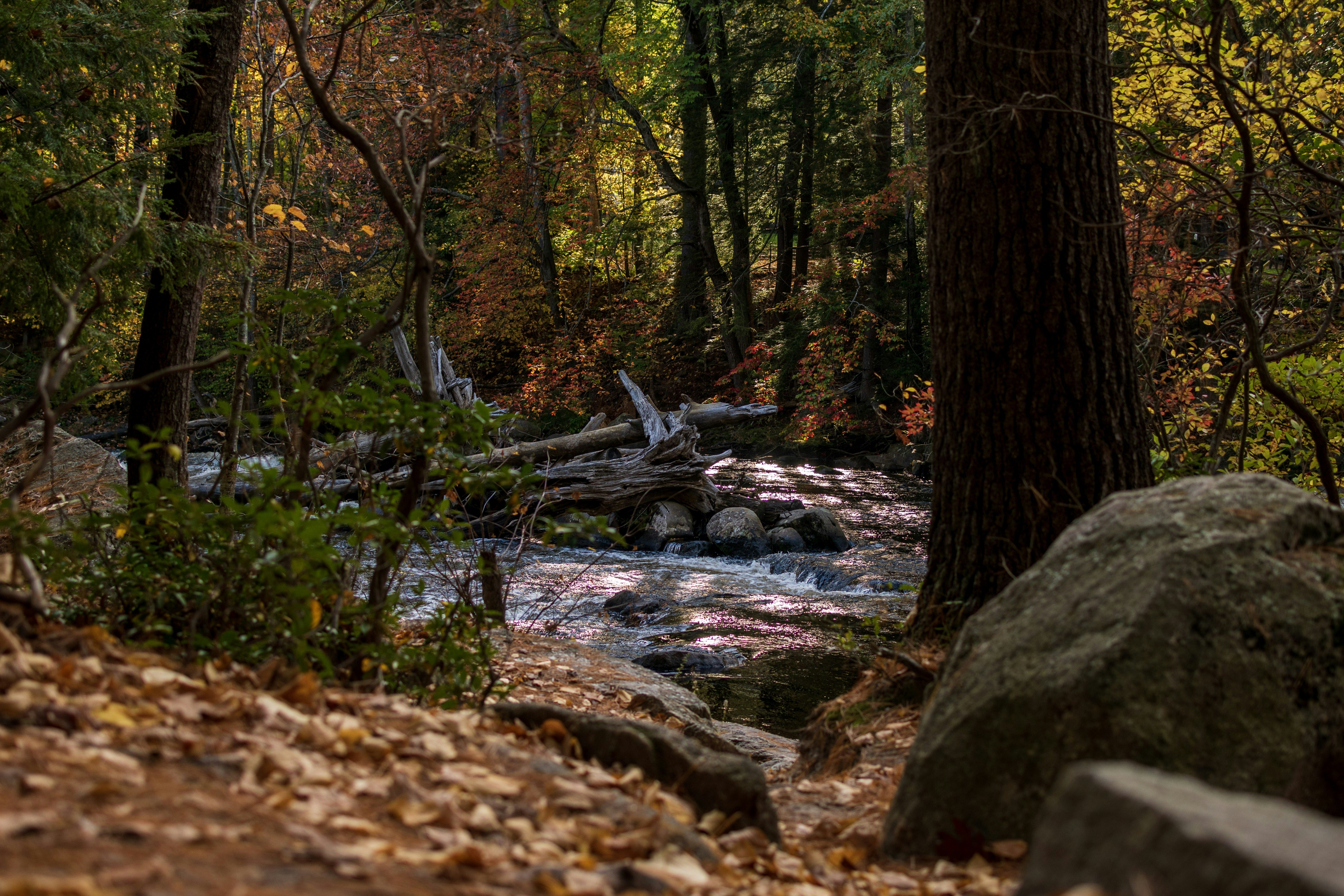 Photo by elijahjmears