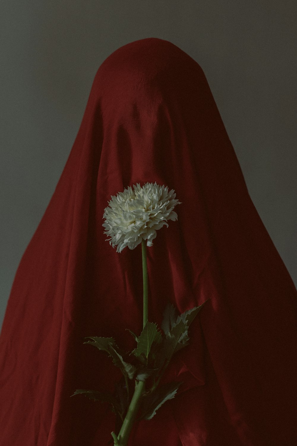 a white flower sitting on top of a red cloth