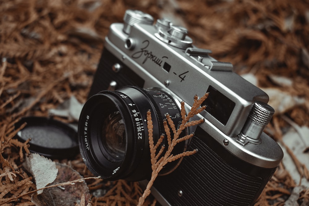 a camera sitting on top of a leaf covered ground