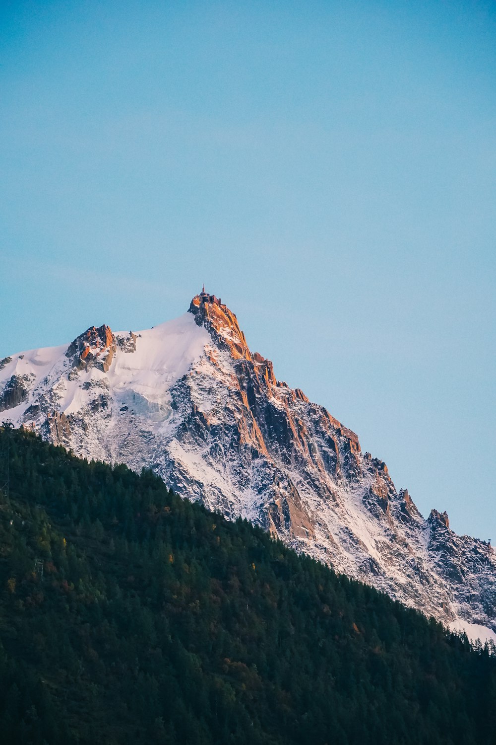 a snow covered mountain with trees in the foreground