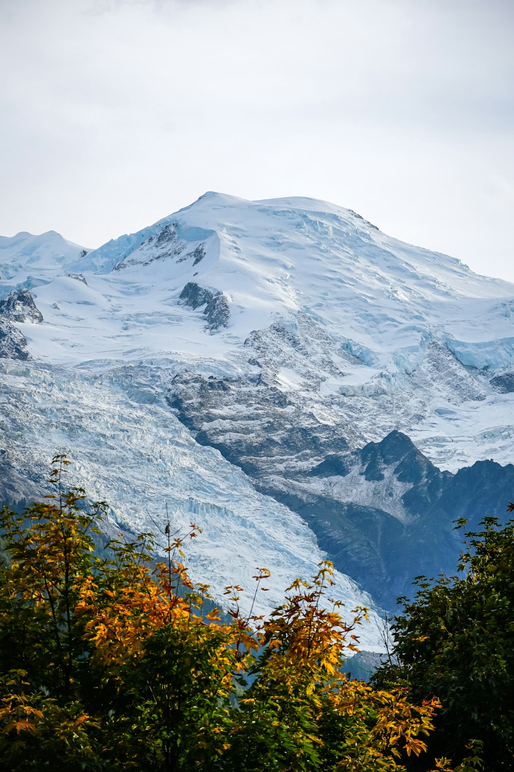 a large mountain covered in snow and surrounded by trees