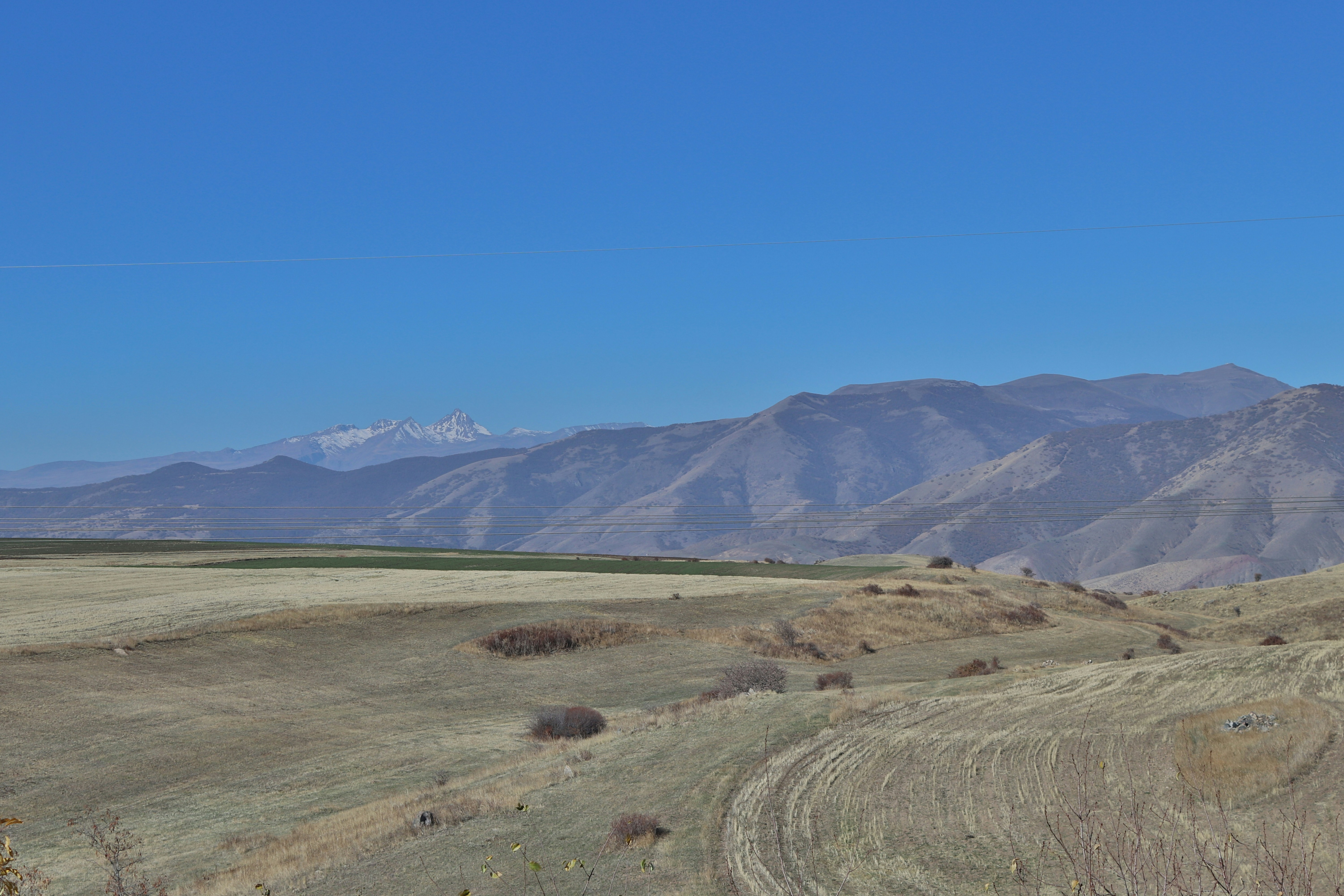 Photo by santovmasyan