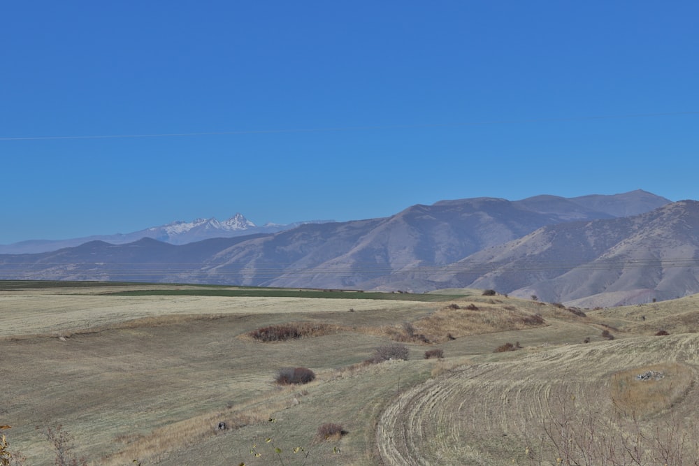 a field with a mountain range in the background