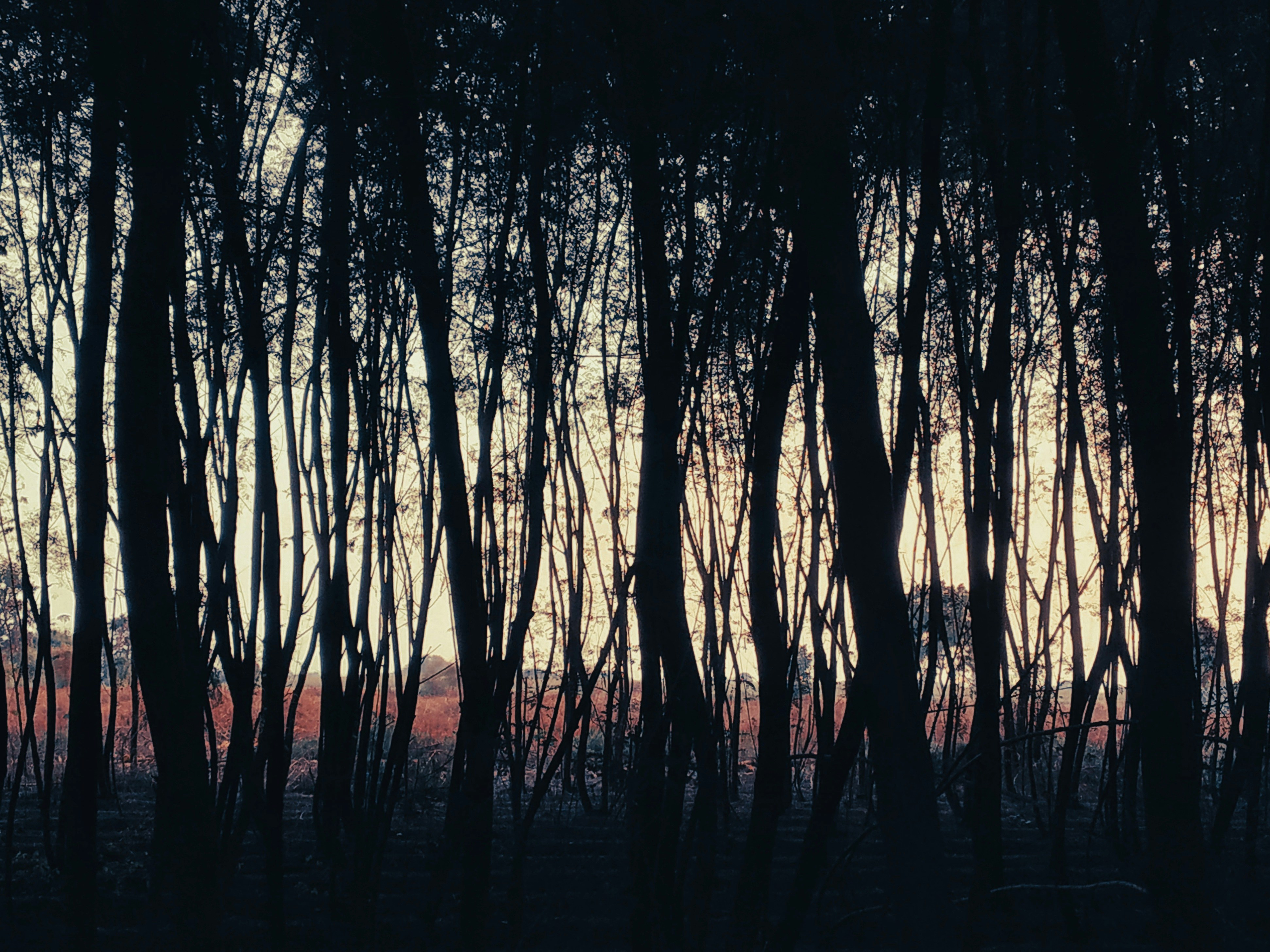 Photo by atomsmasher