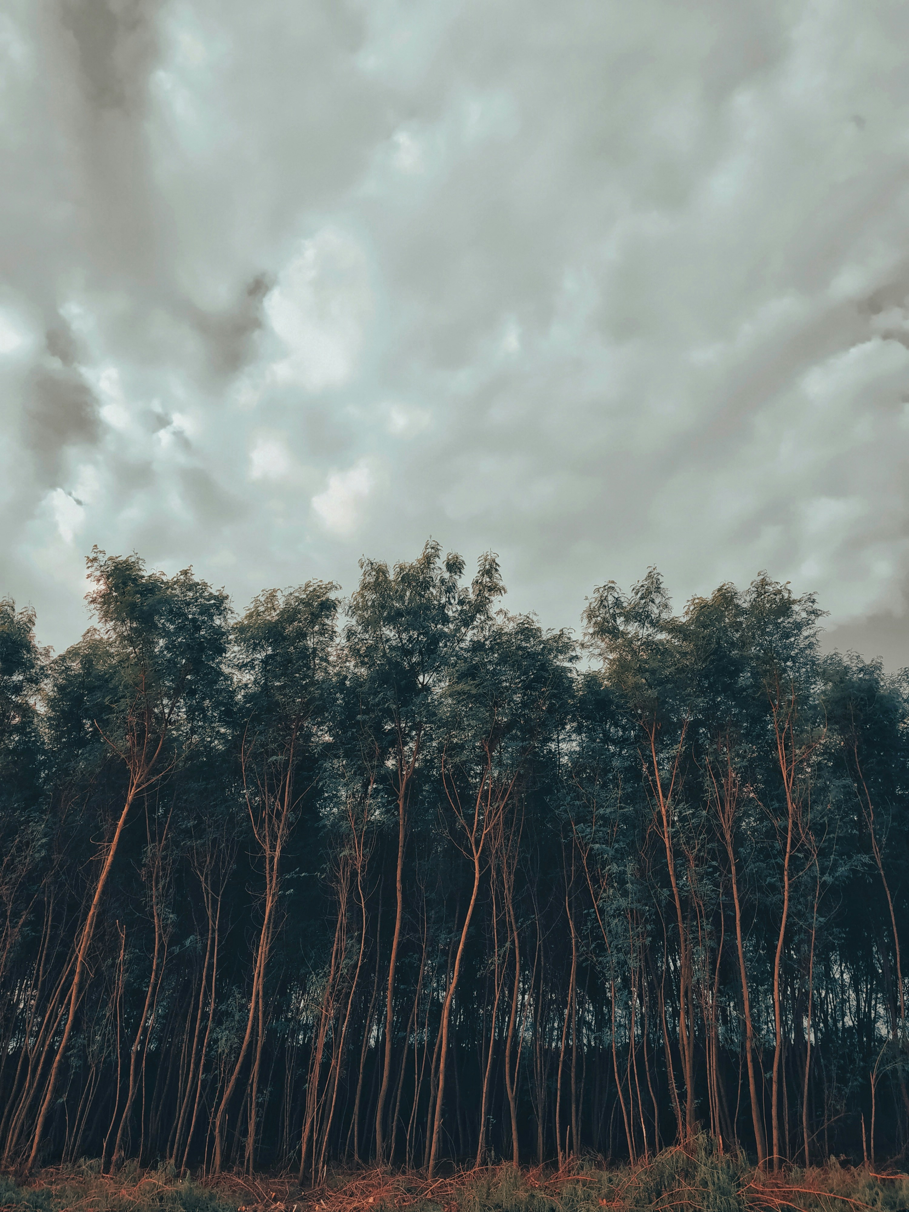 Photo by atomsmasher