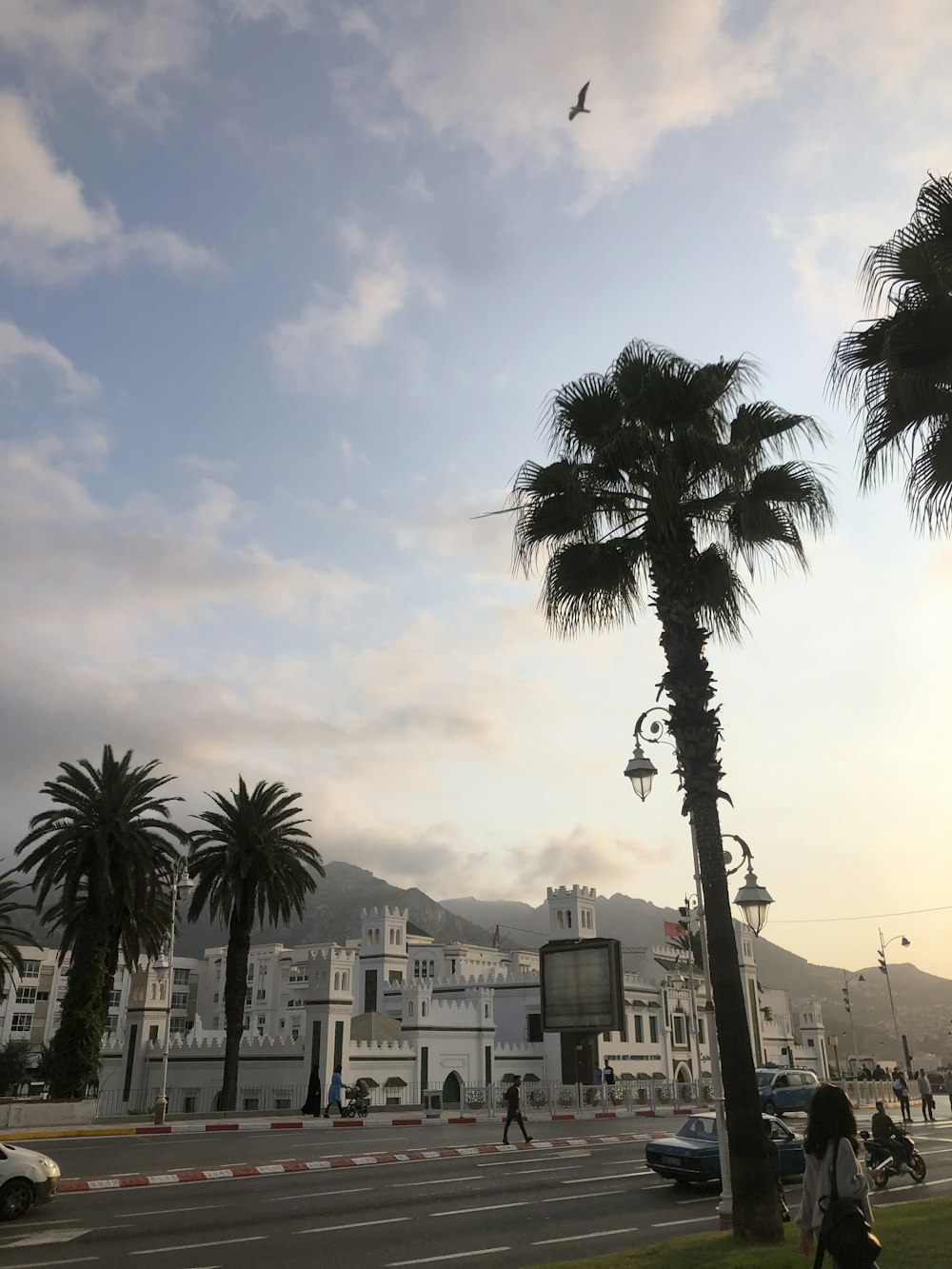 a bird flying over a street with palm trees