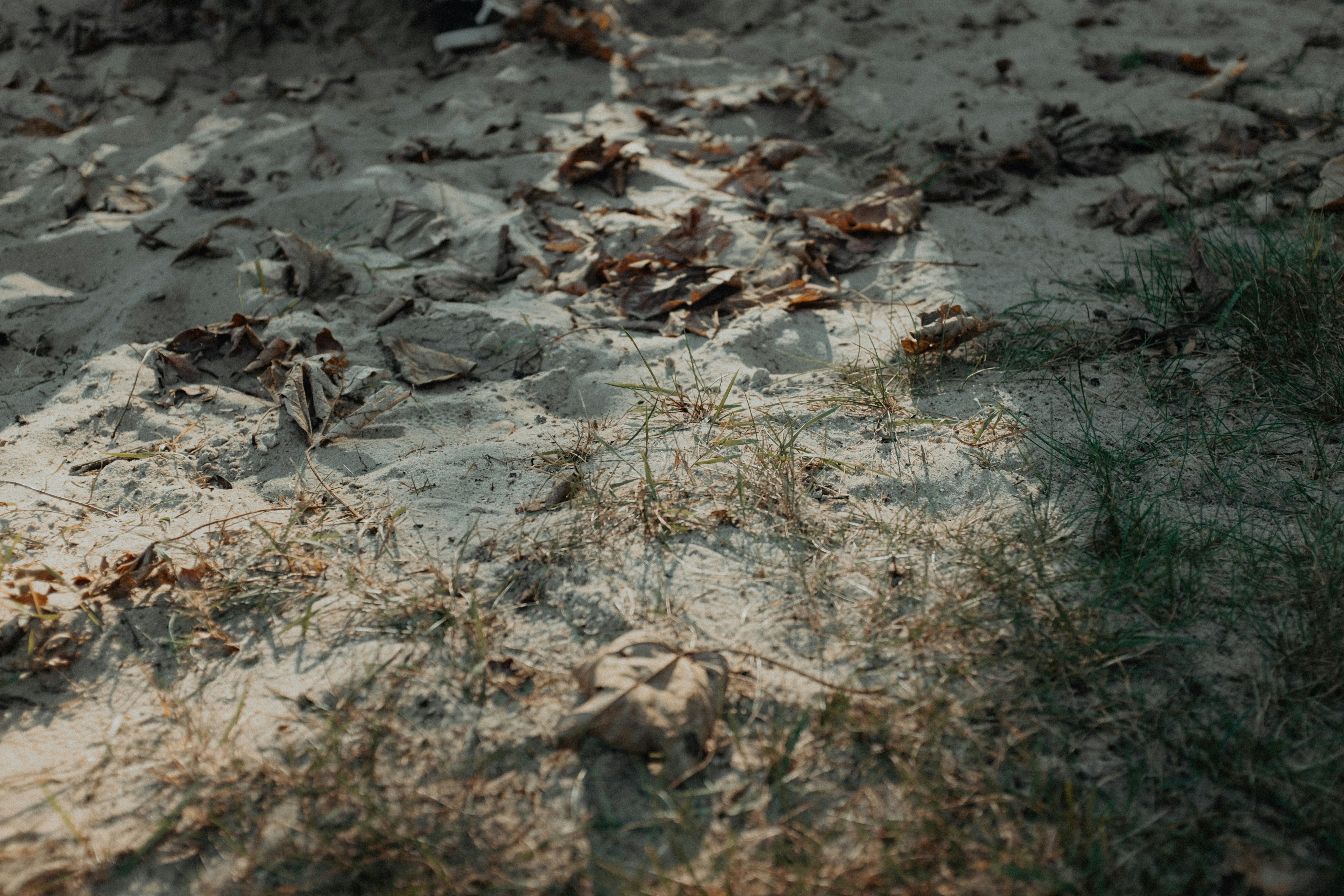 Photo by tassomitsarakis