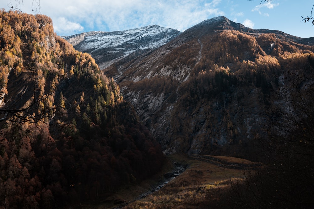 a view of a mountain with a stream running through it