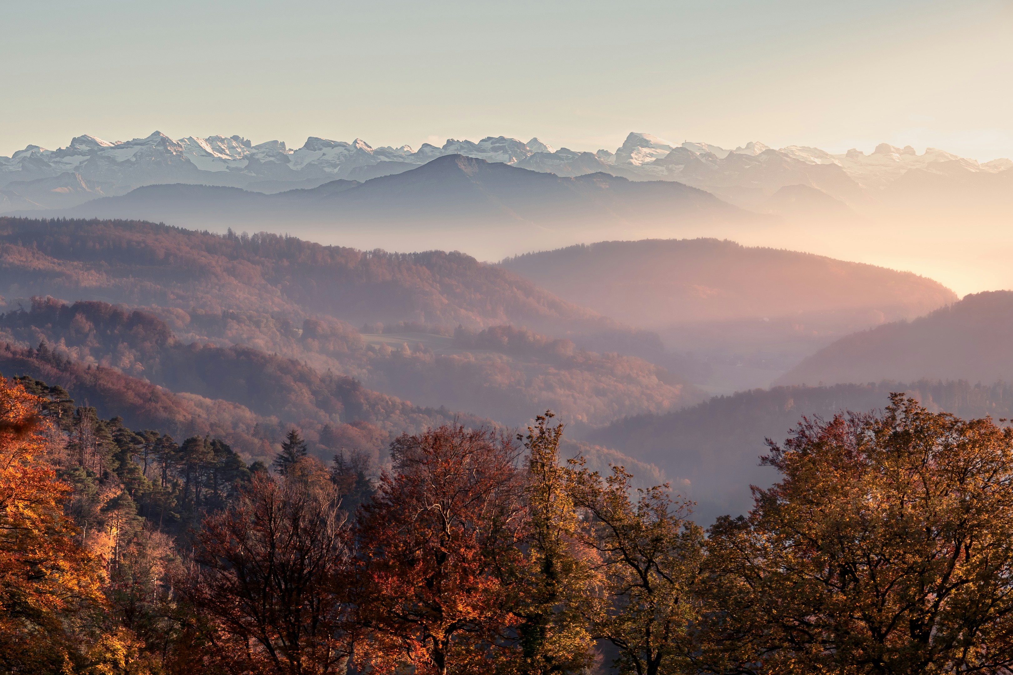 a view of a mountain range with trees in the foreground, Magical autumn sunset from Uetliberg (Zurich)