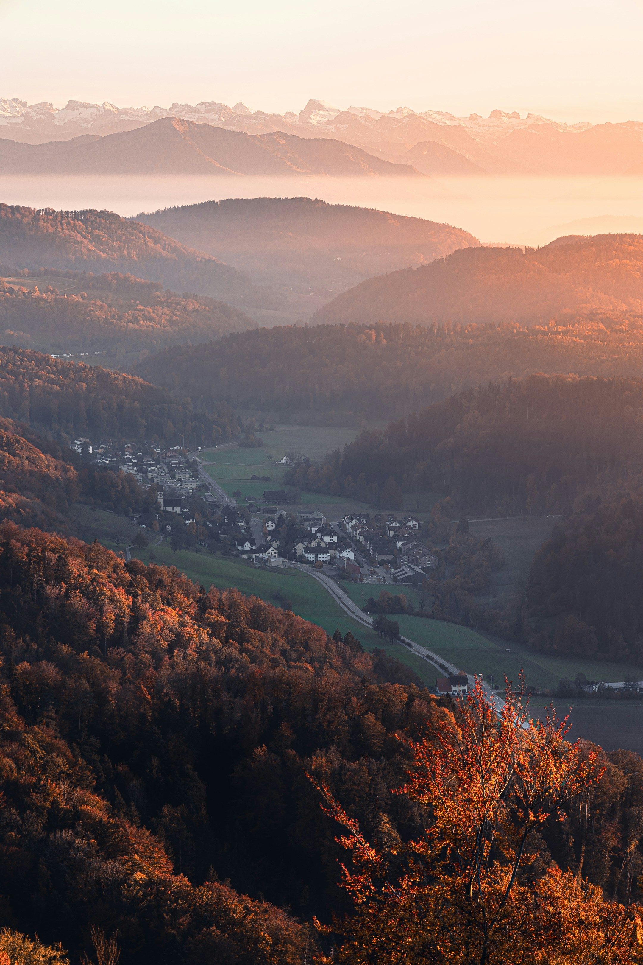 Photo by tomastrajan