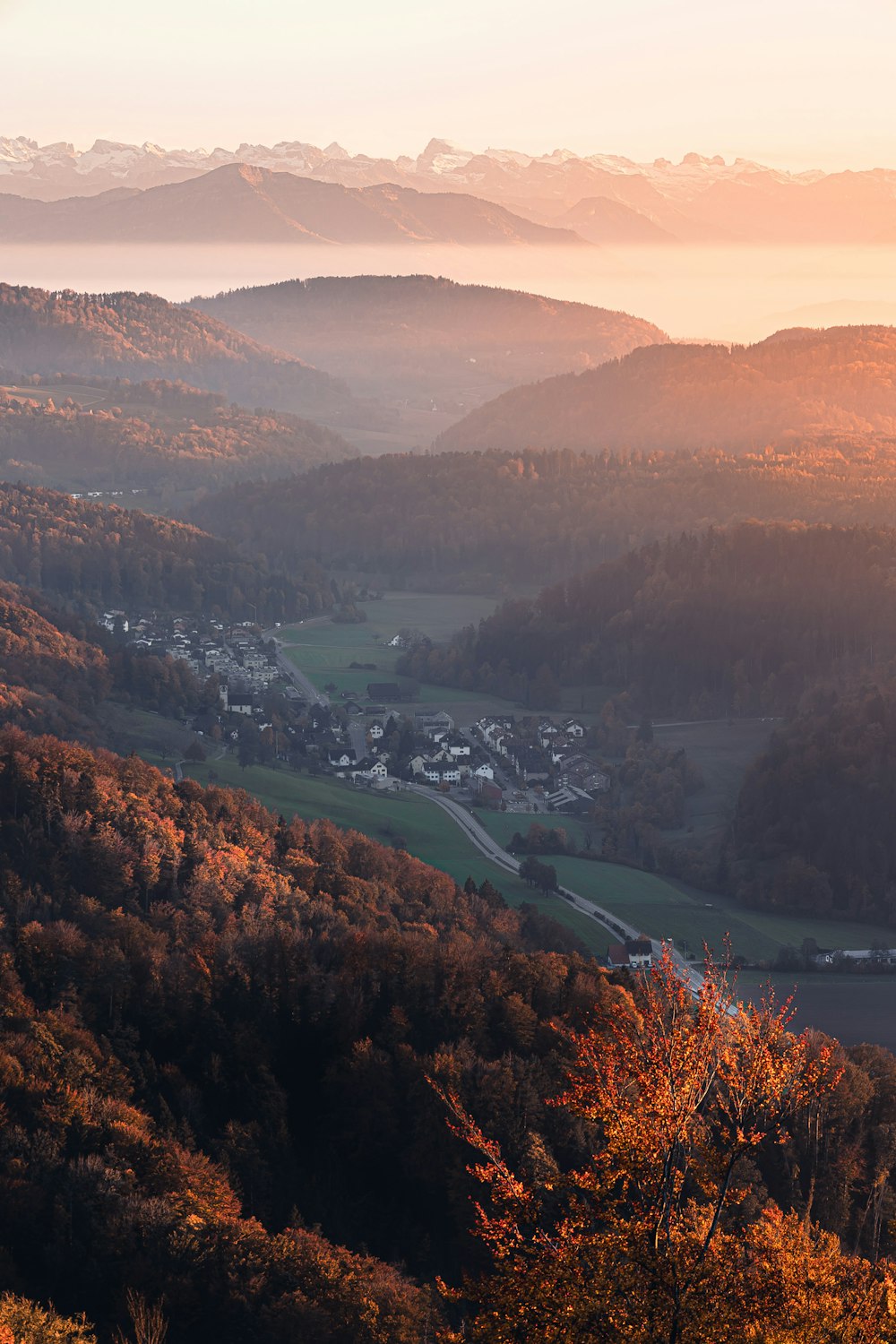 a scenic view of a valley with mountains in the background