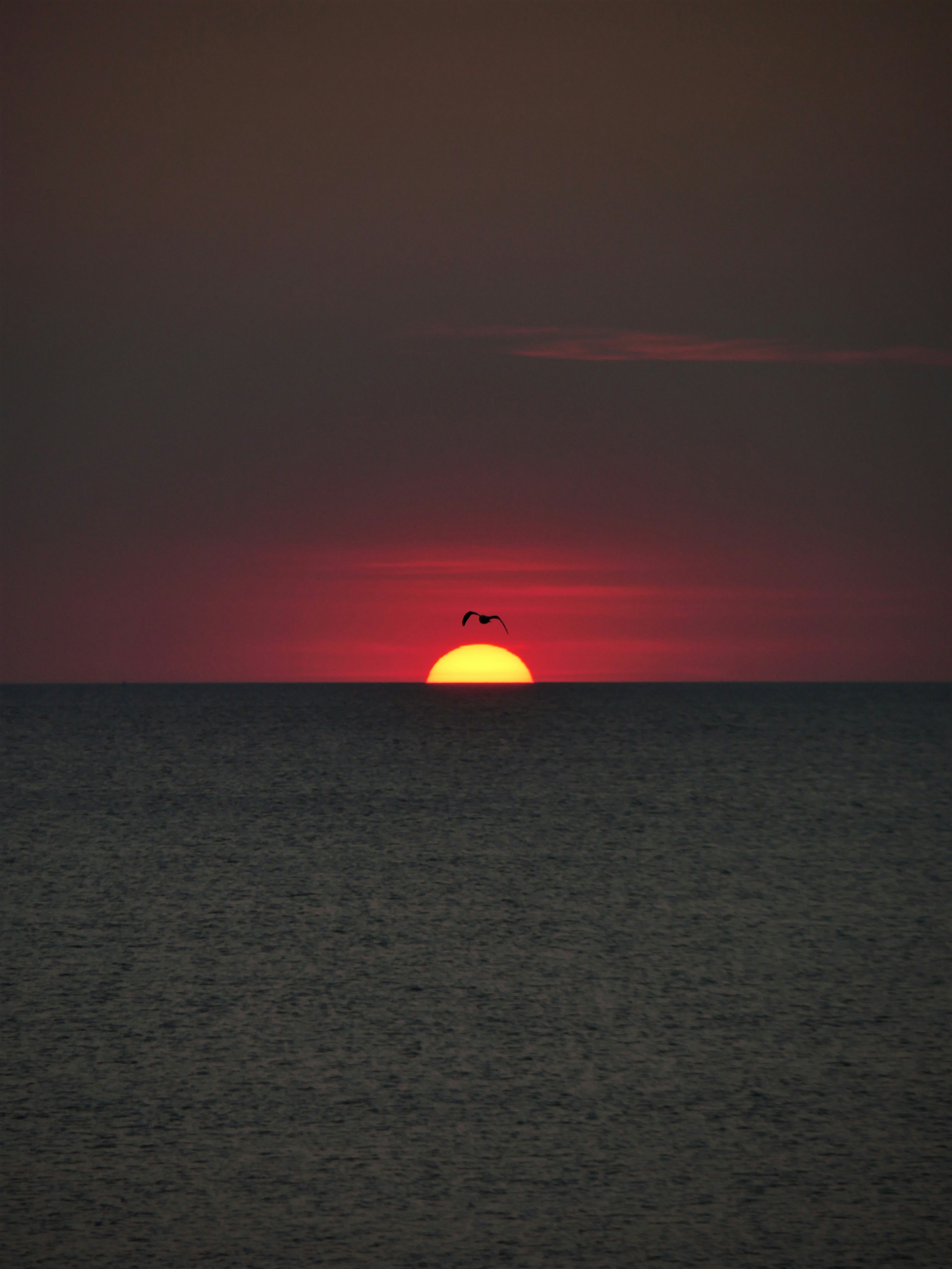 Photo by nimbus_vulpis