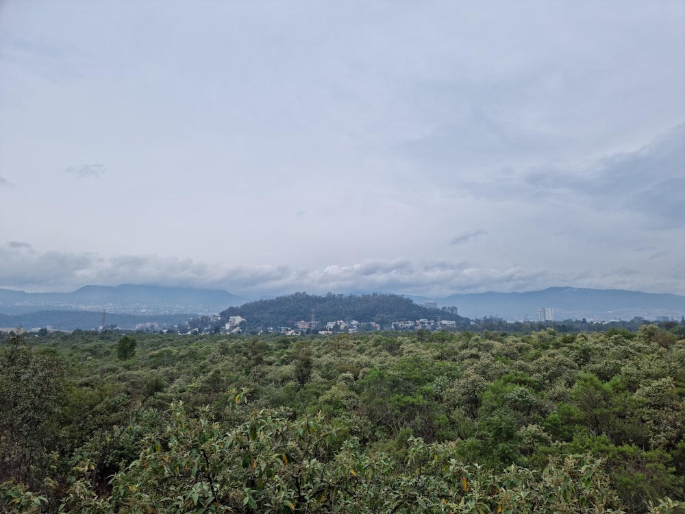 a view of a lush green forest under a cloudy sky