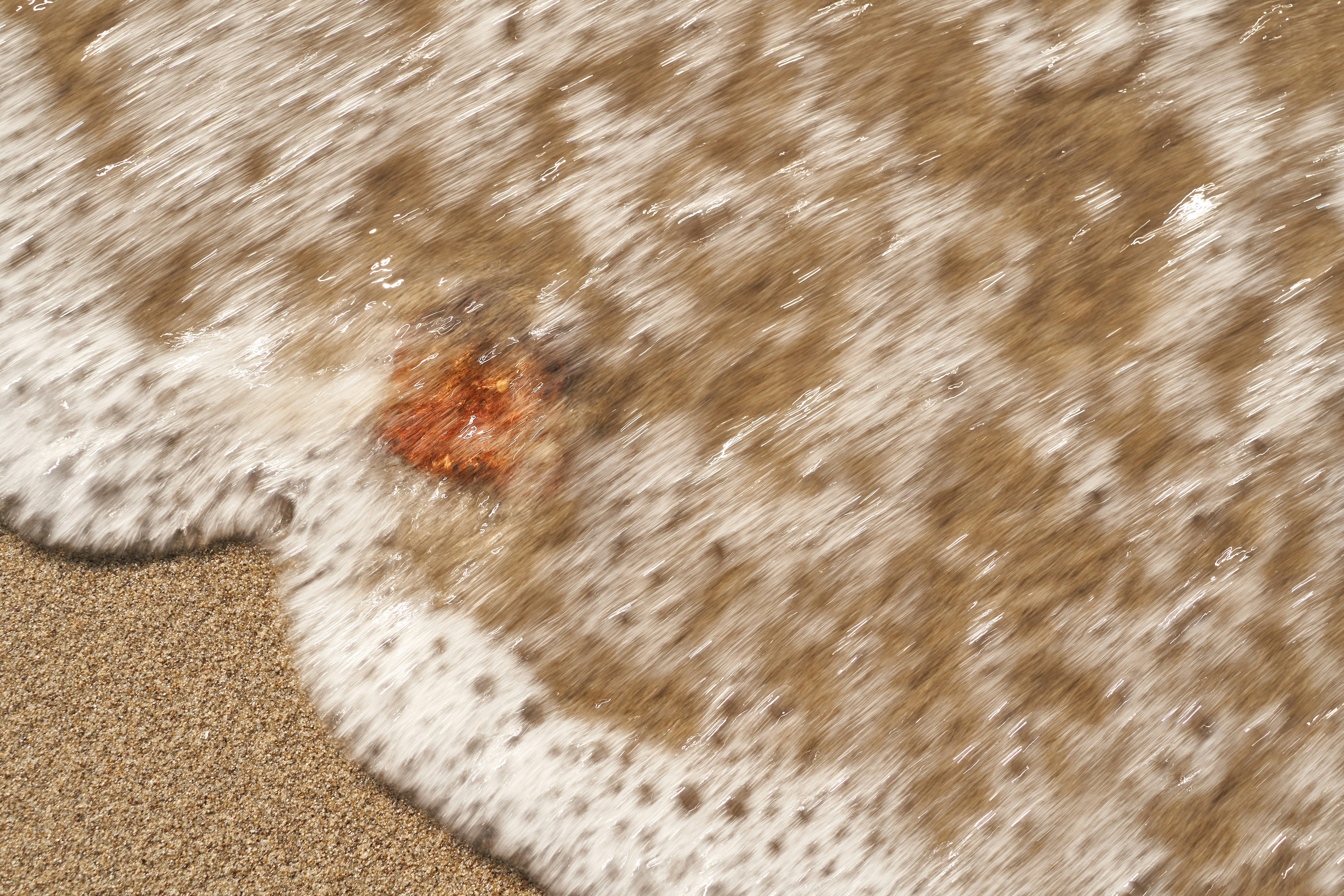 Photo by wolfgang_hasselmann