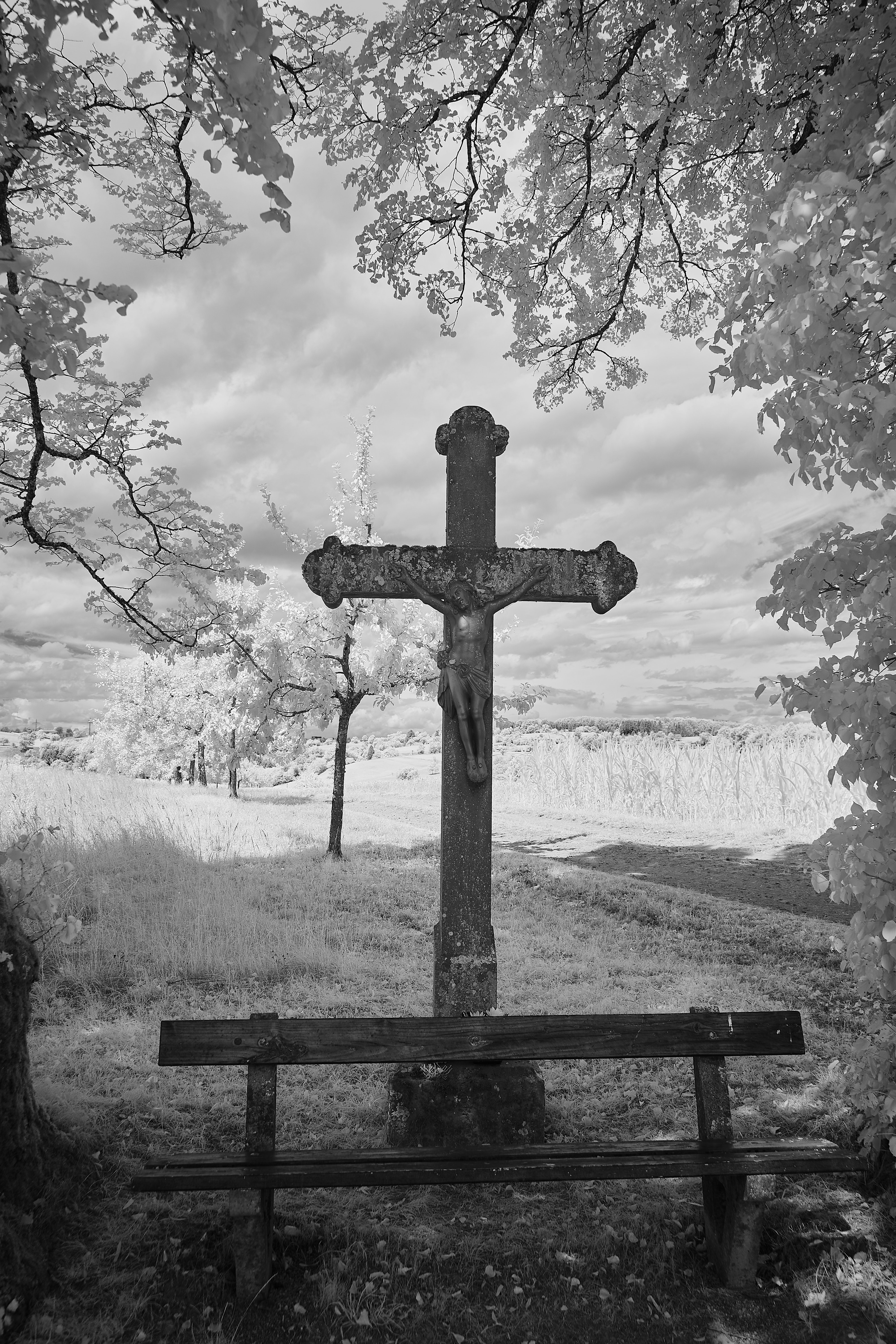 Photo by wolfgang_hasselmann