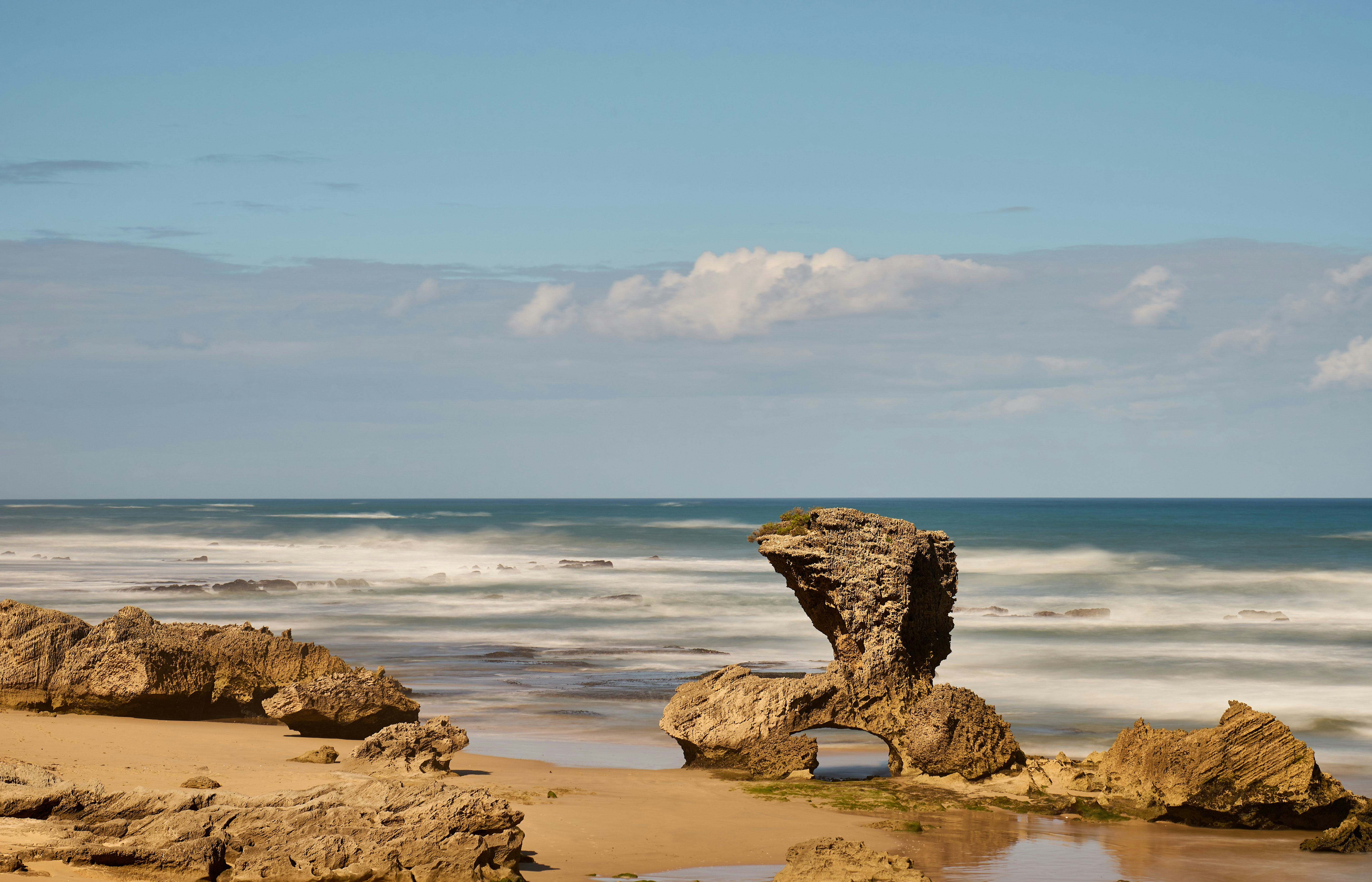 Photo by wolfgang_hasselmann