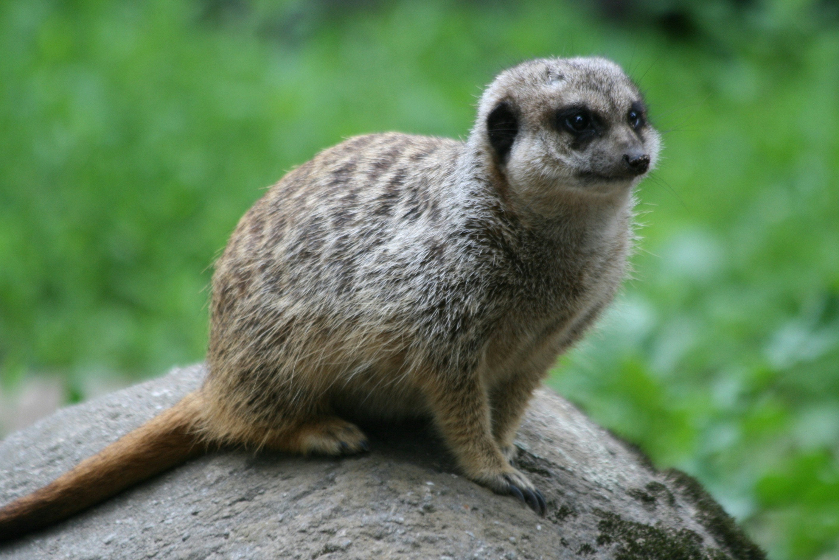 Photo by matthijsphotography