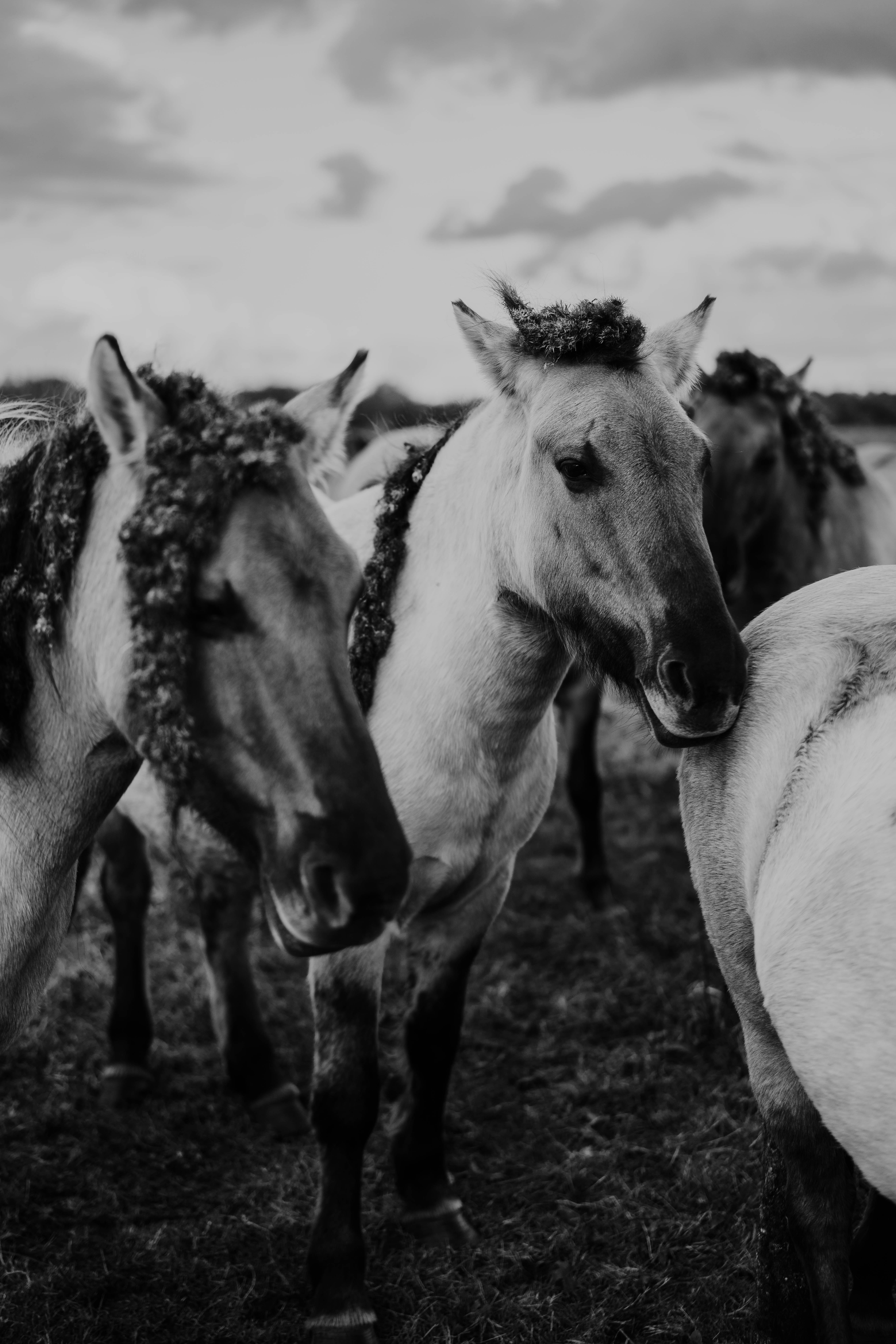 Photo by philhearing