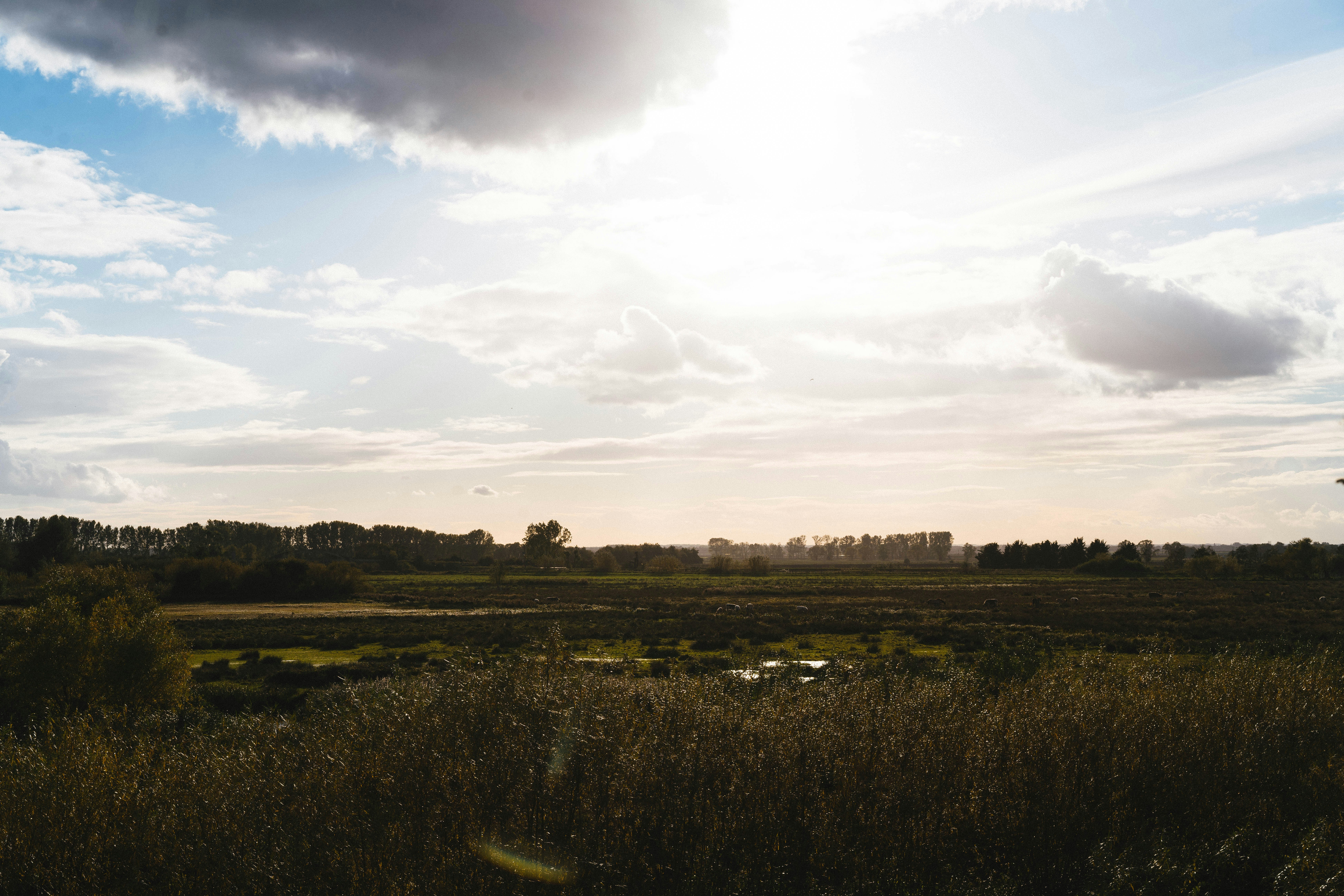 Photo by philhearing