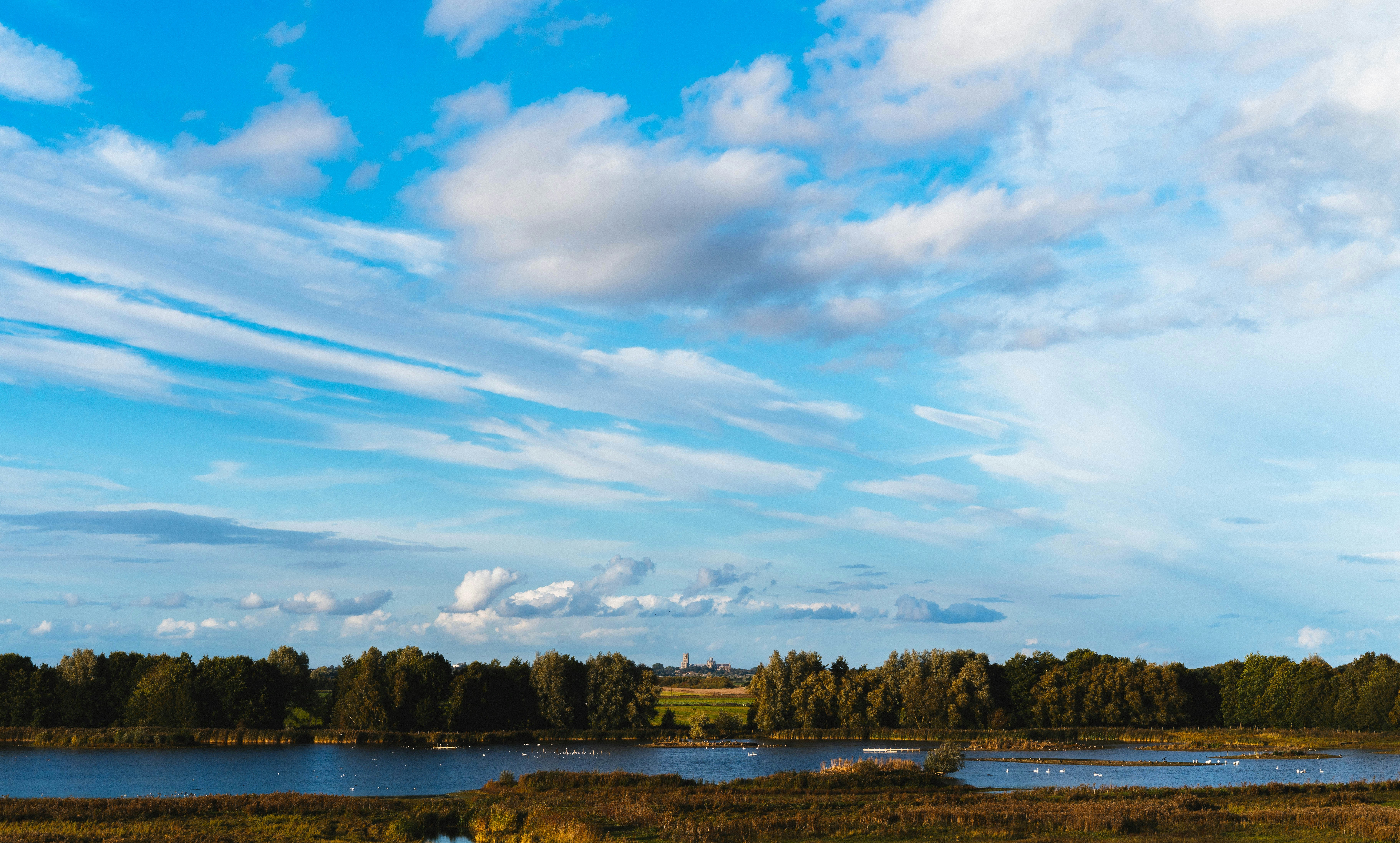 a large body of water surrounded by trees, 
