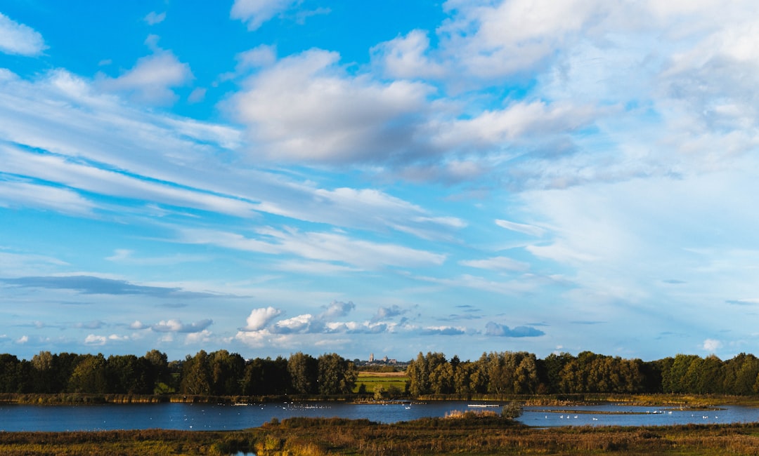 a large body of water surrounded by trees,