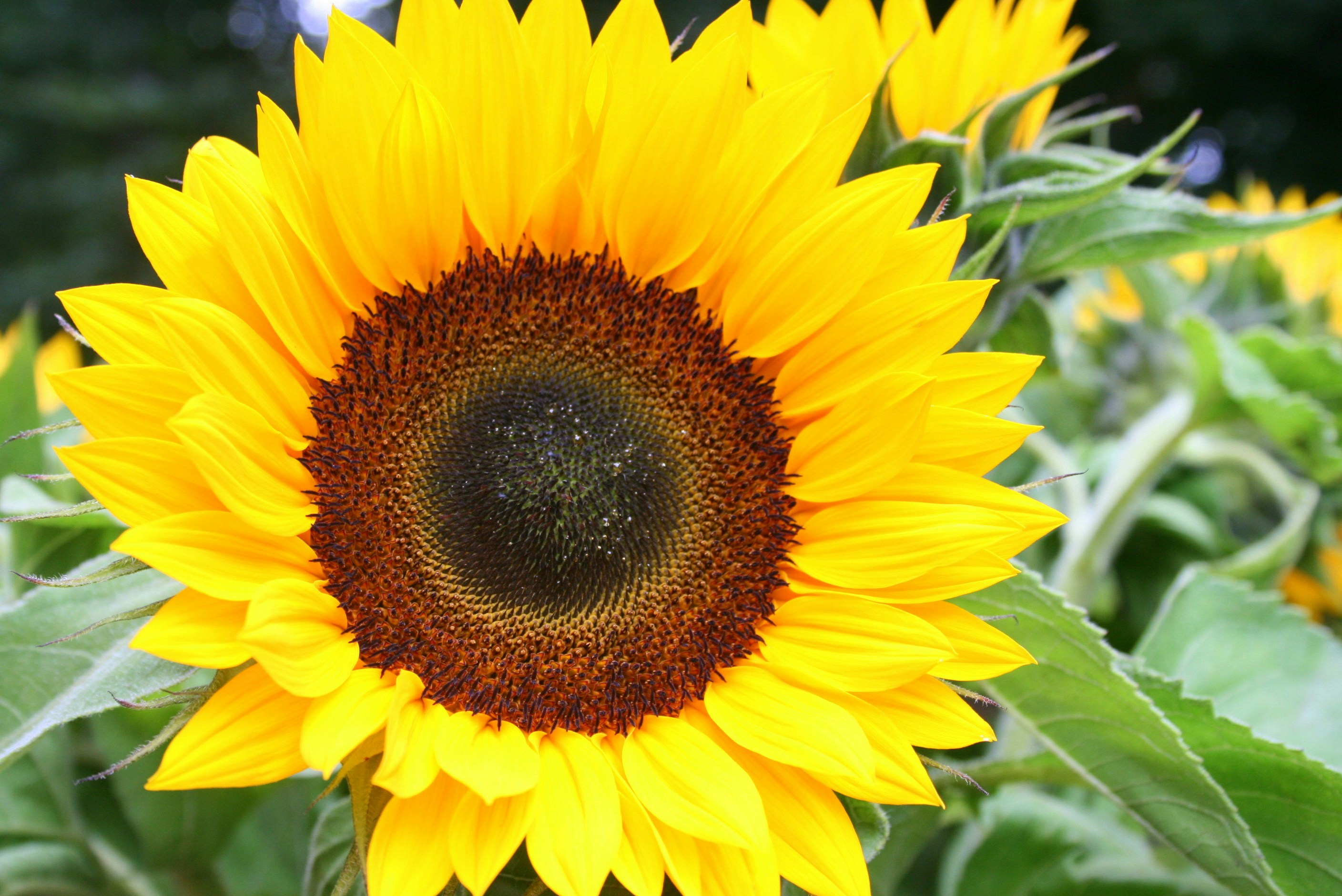 Photo by matthijsphotography