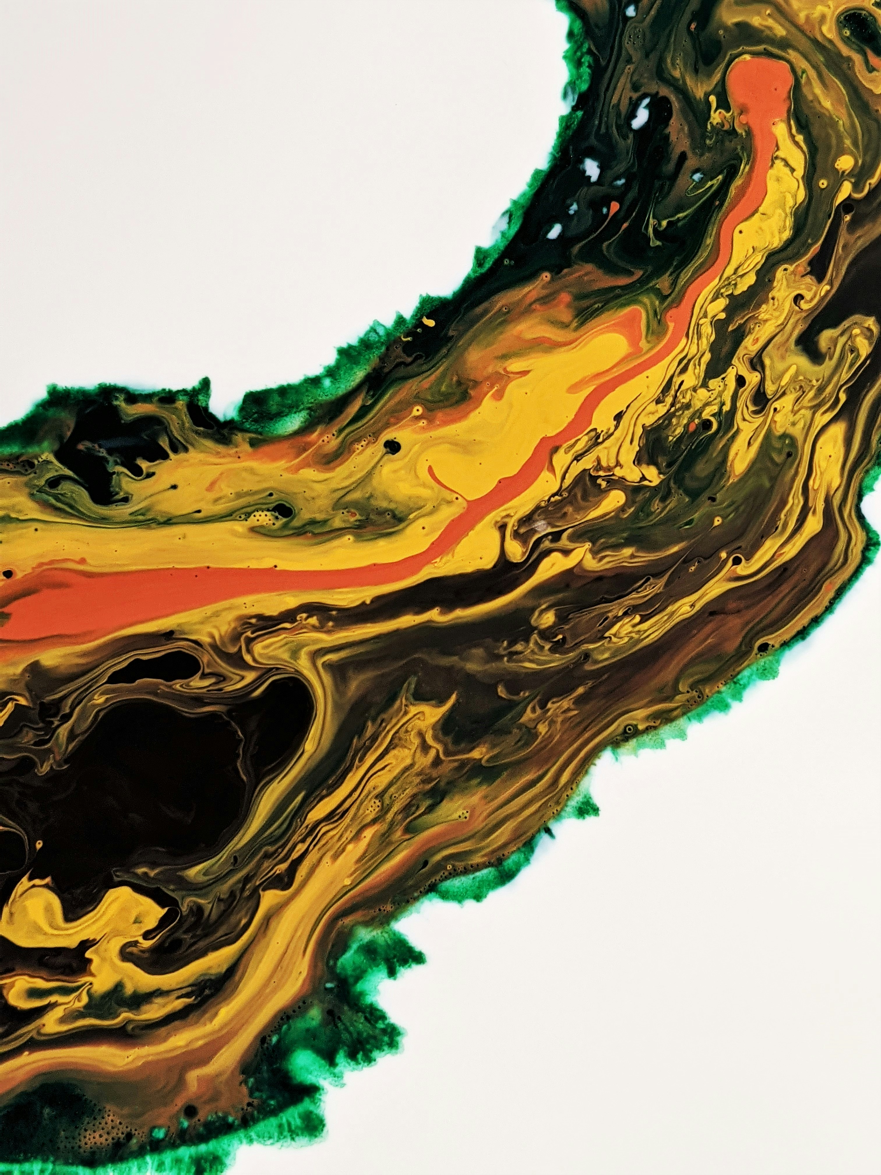 Photo by susan_wilkinson