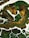 An abstract painting featuring swirling patterns with a mix of earthy tones, primarily greens and browns, combined with white accents. The image has a fluid, marbled texture that resembles natural elements such as rocks or foliage.