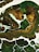 An abstract painting featuring swirling patterns with a mix of earthy tones, primarily greens and browns, combined with white accents. The image has a fluid, marbled texture that resembles natural elements such as rocks or foliage.