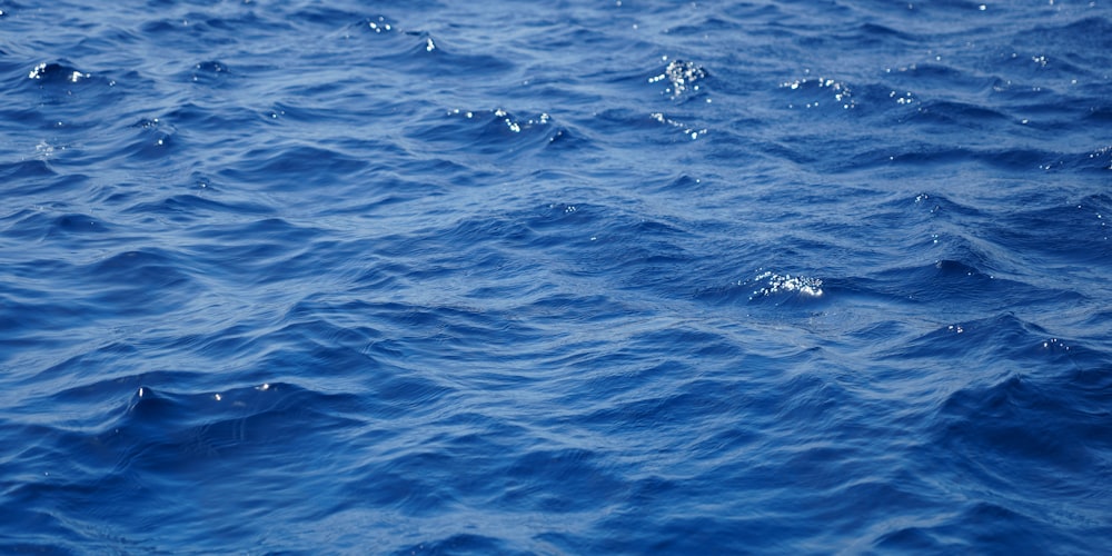 a close up of the water surface of a body of water