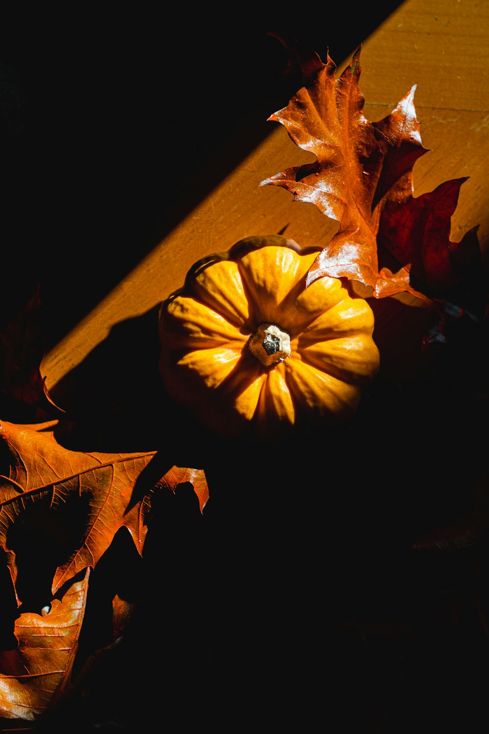 a couple of pumpkins sitting on top of a table