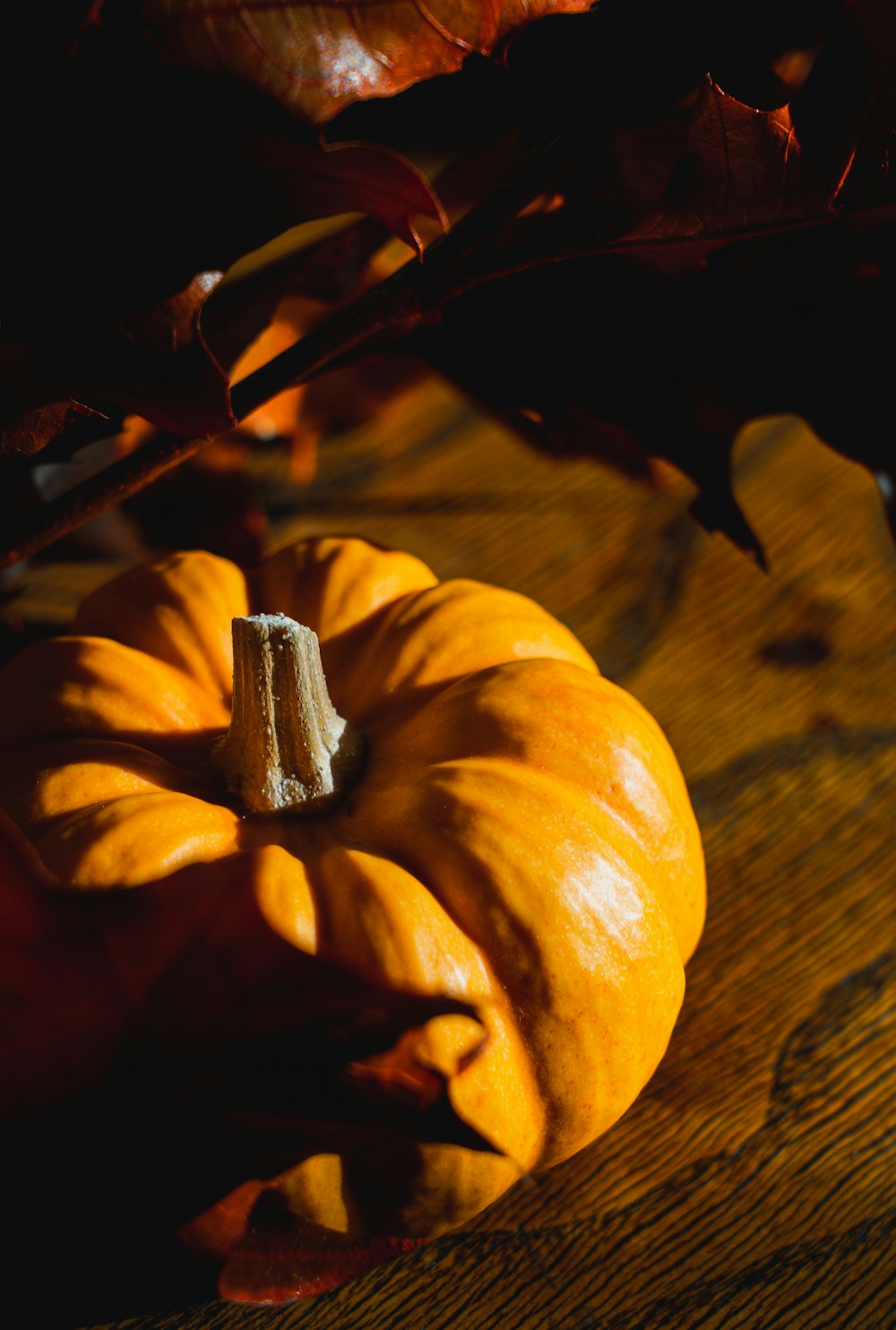 una zucca seduta sopra un tavolo di legno